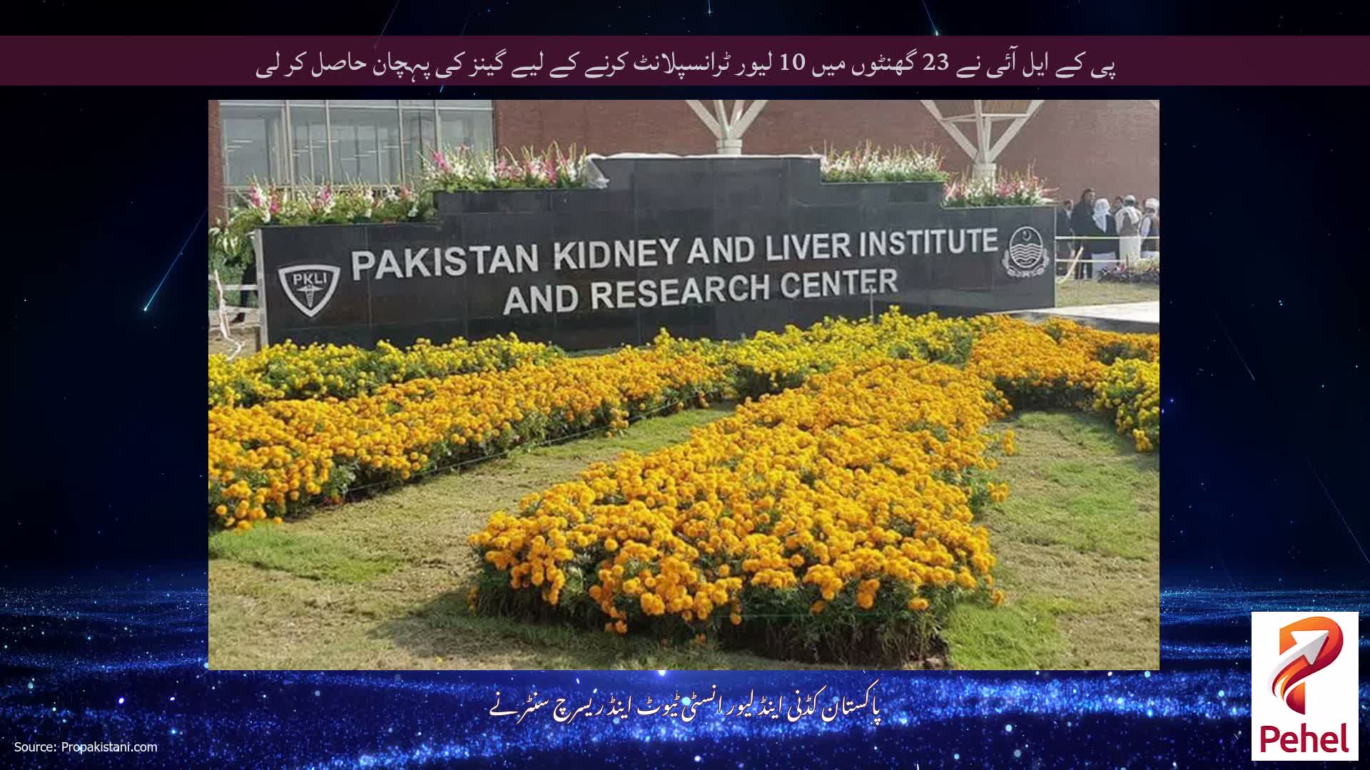 پی کے ایل آئی نے 23 گھنٹوں میں 10 لیور ٹرانسپلانٹ کرنے کے لیے گینز کی پہچان حاصل کر لی