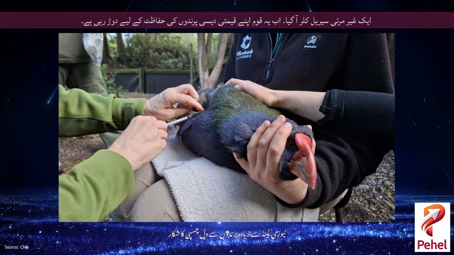 ایک غیر مرئی سیریل کلر آ گیا۔ اب یہ قوم اپنے قیمتی دیسی پرندوں کی حفاظت کے لیے دوڑ رہی ہے۔