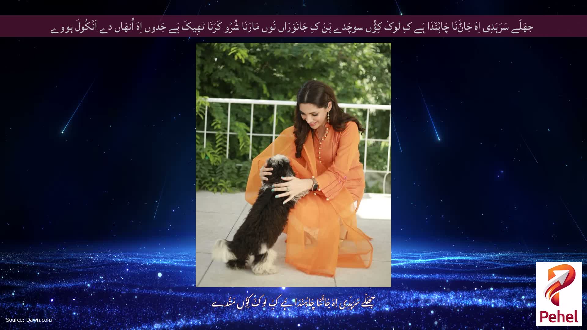 جھَلّے سَرَہَدِی اِہَ جَاݨَنَا چَاہُن٘دَا ہَے کِ لوکَ کِؤُں سوچَدے ہَنَ کِ جَانَوَرَاں نُوں مَارَنَا شُرُو کَرَنَا ٹھِیکَ ہَے جَدوں اِہَ اُنھَاں دے اَنُکُولَ ہووے