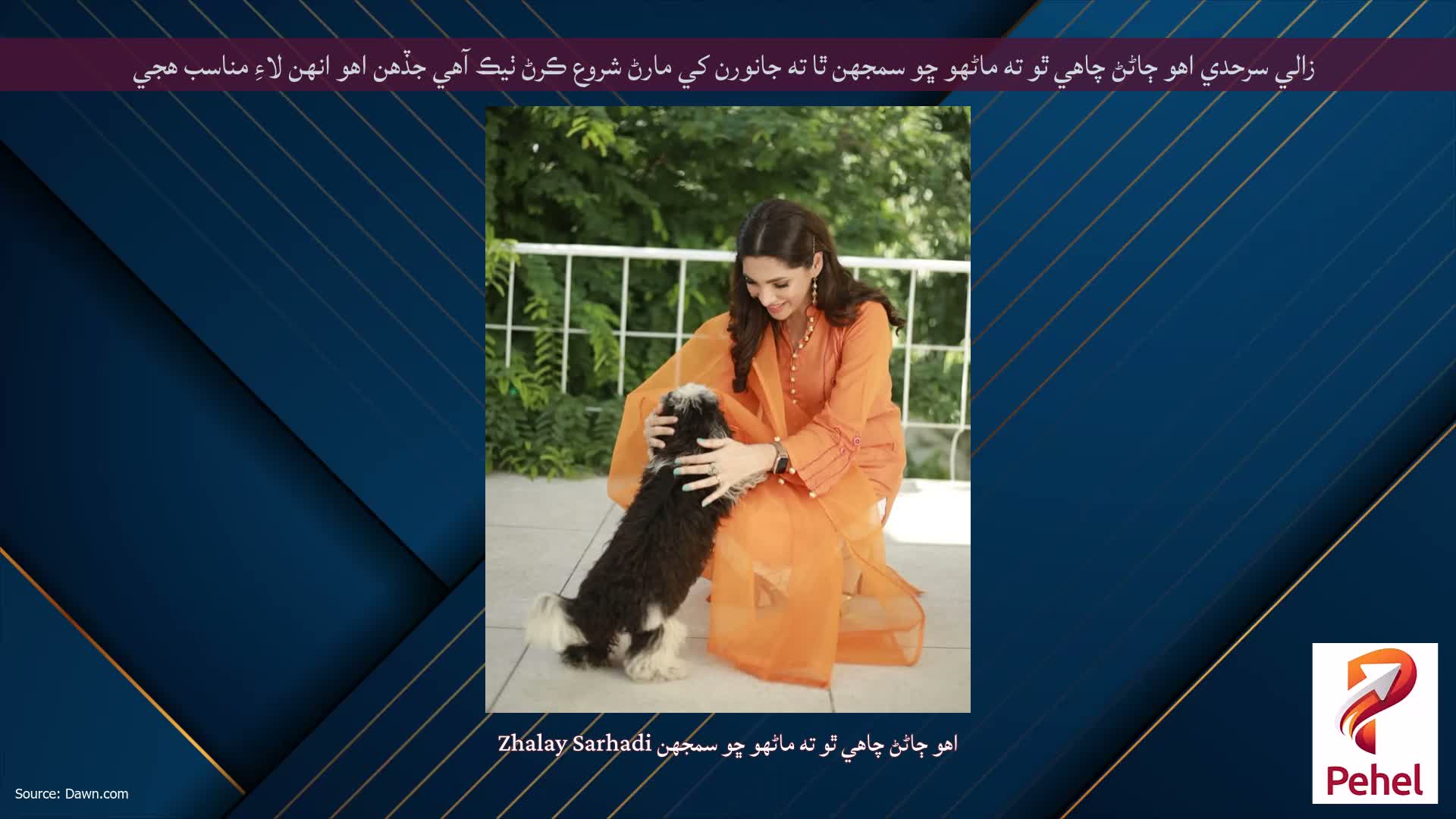 زالي سرحدي اهو ڄاڻڻ چاهي ٿو ته ماڻهو ڇو سمجهن ٿا ته جانورن کي مارڻ شروع ڪرڻ ٺيڪ آهي جڏهن اهو انهن لاءِ مناسب هجي