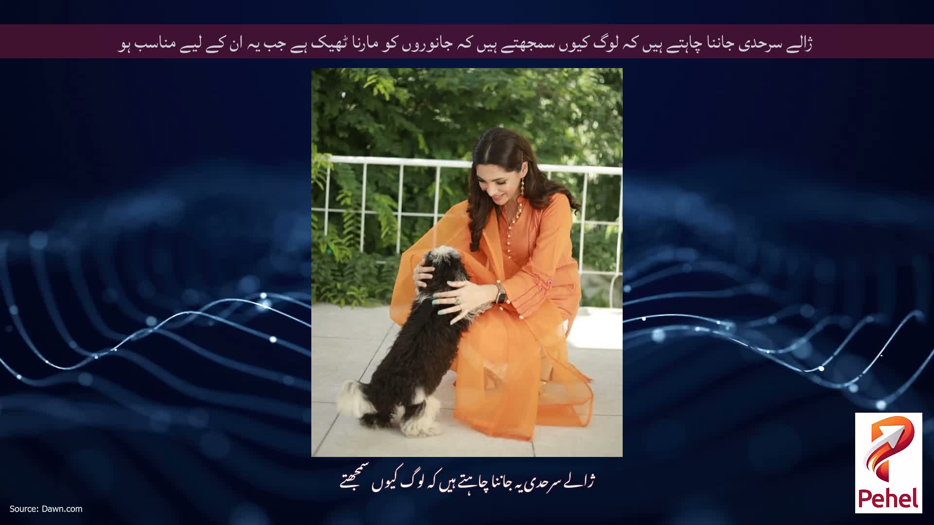 ژالے سرحدی جاننا چاہتے ہیں کہ لوگ کیوں سمجھتے ہیں کہ جانوروں کو مارنا ٹھیک ہے جب یہ ان کے لیے مناسب ہو