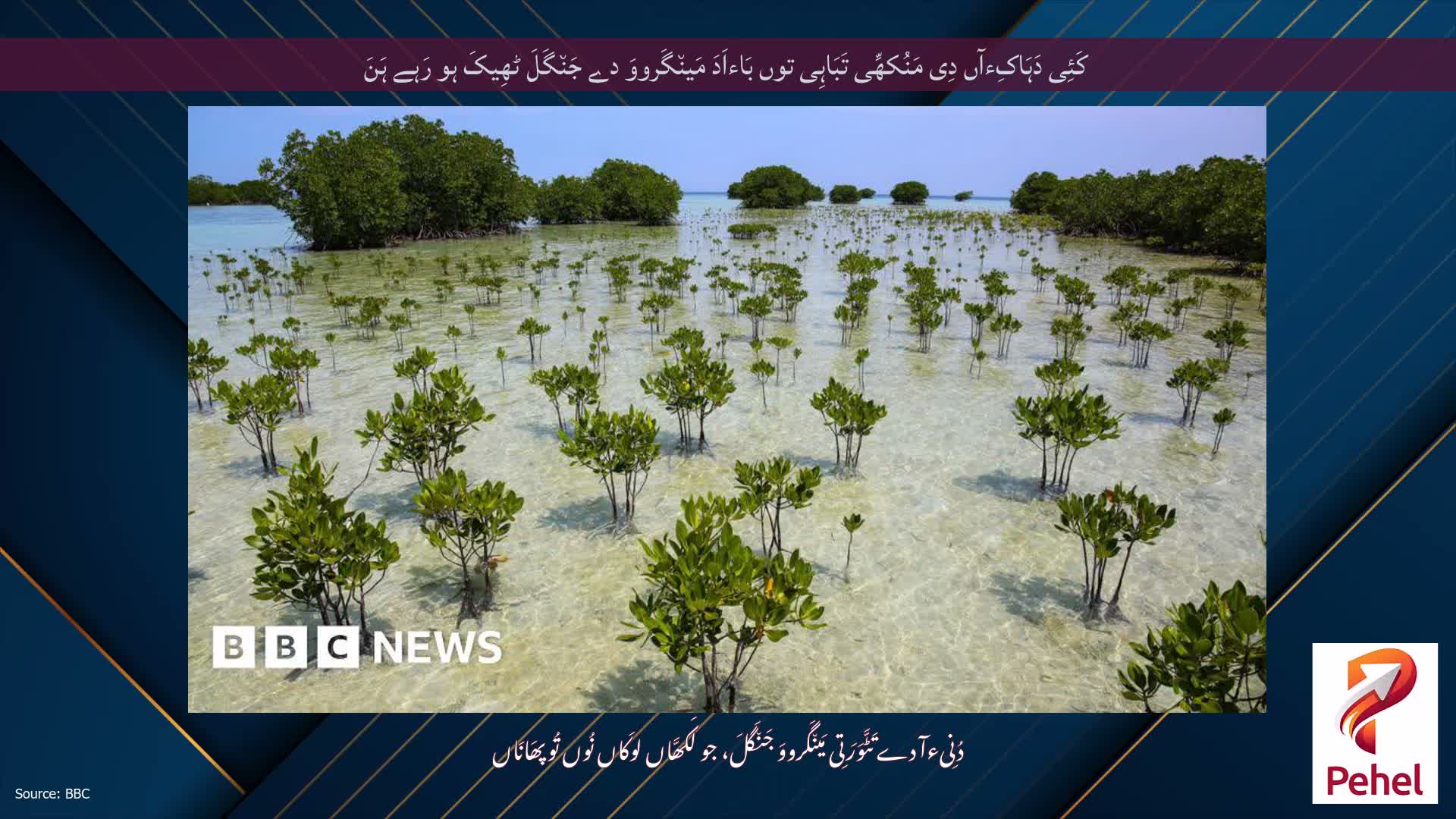 کَئِی دَہَاکِءآں دِی مَنُکھِّی تَبَاہِی توں بَاءاَدَ مَین٘گَرووَ دے جَن٘گَلَ ٹھِیکَ ہو رَہے ہَنَ