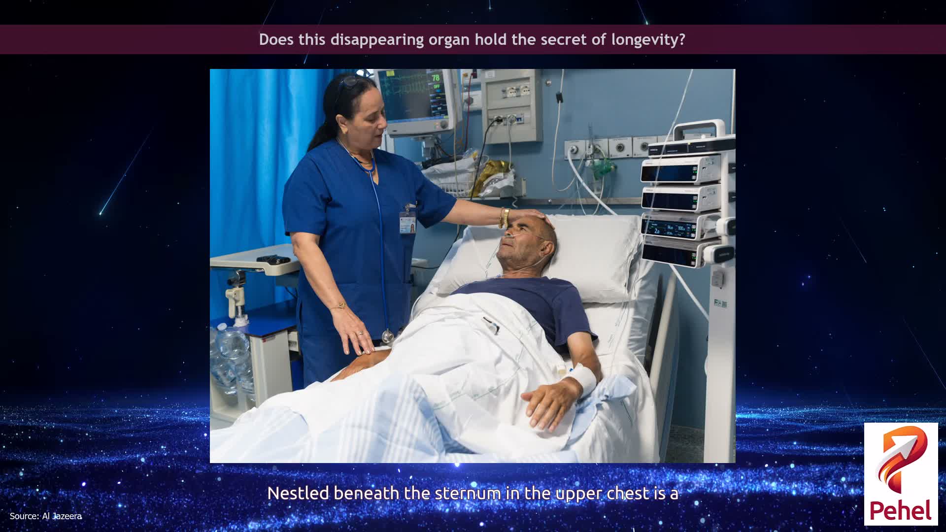 Does this disappearing organ hold the secret of longevity?