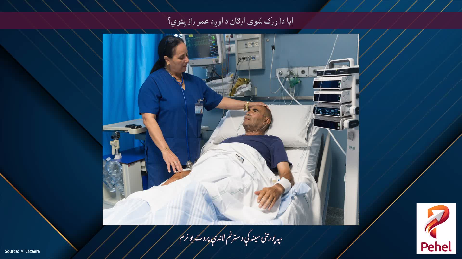 ایا دا ورک شوی ارګان د اوږد عمر راز پټوي؟