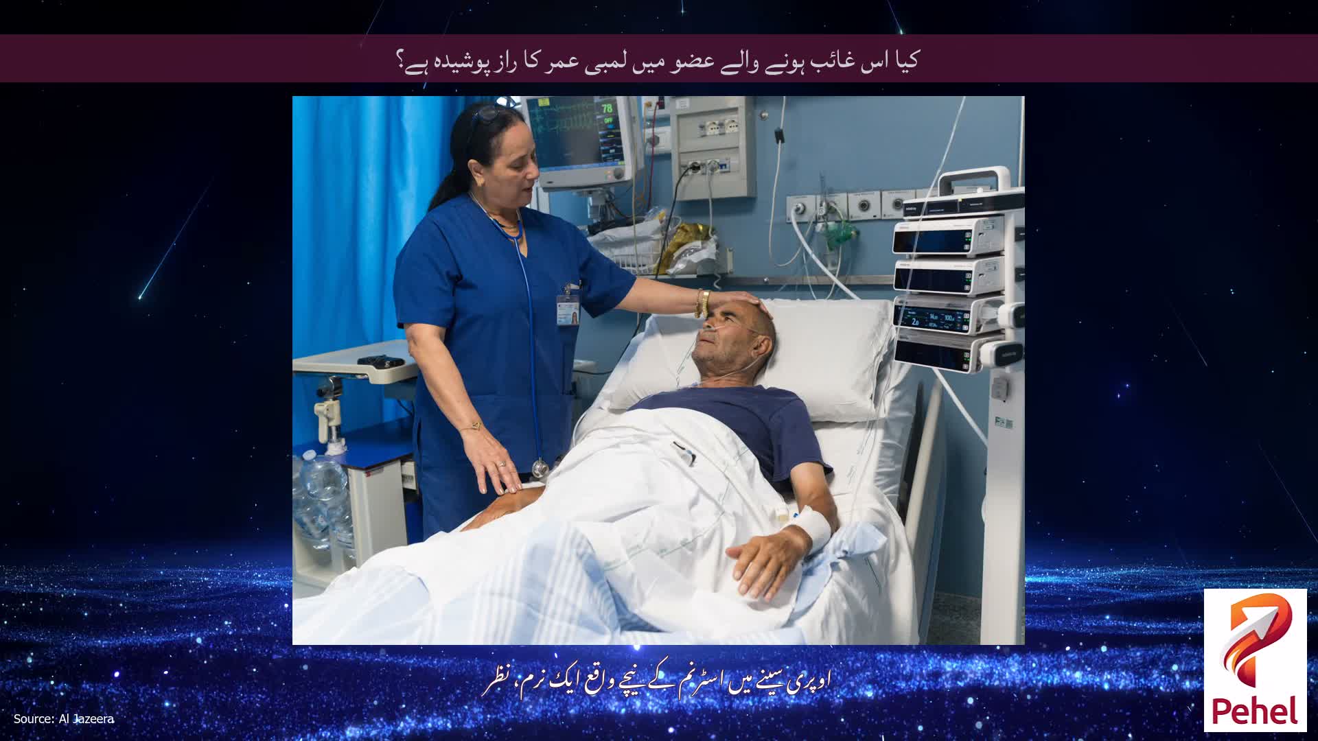 کیا اس غائب ہونے والے عضو میں لمبی عمر کا راز پوشیدہ ہے؟