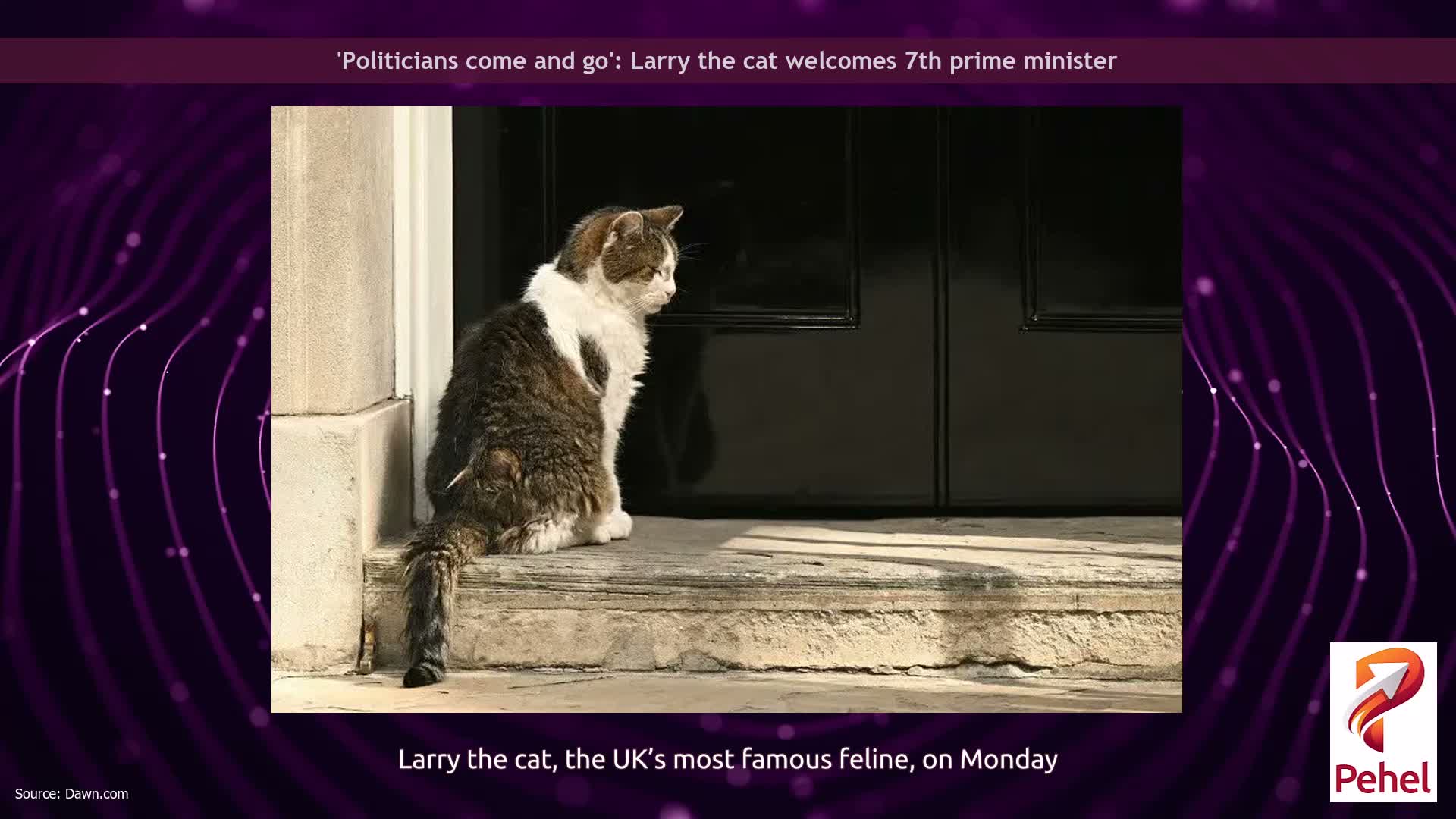 'Politicians come and go': Larry the cat welcomes 7th prime minister