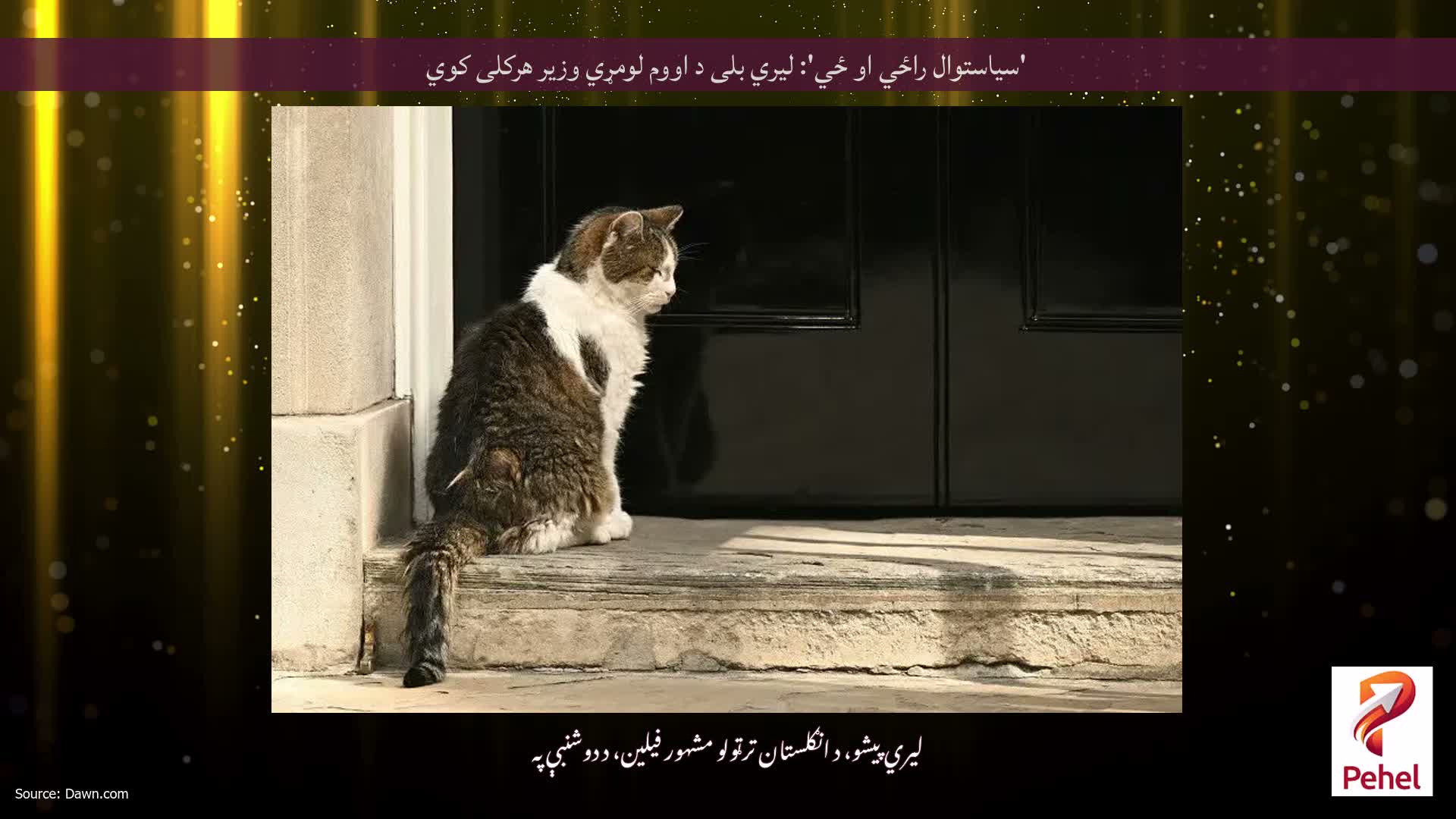 'سیاستوال راځي او ځي': لیري بلی د اووم لومړي وزیر هرکلی کوي