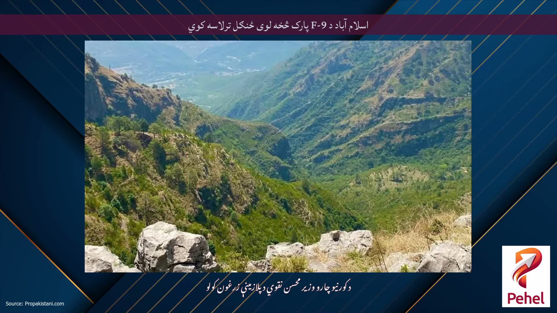 اسلام آباد د F-9 پارک څخه لوی ځنګل ترلاسه کوي