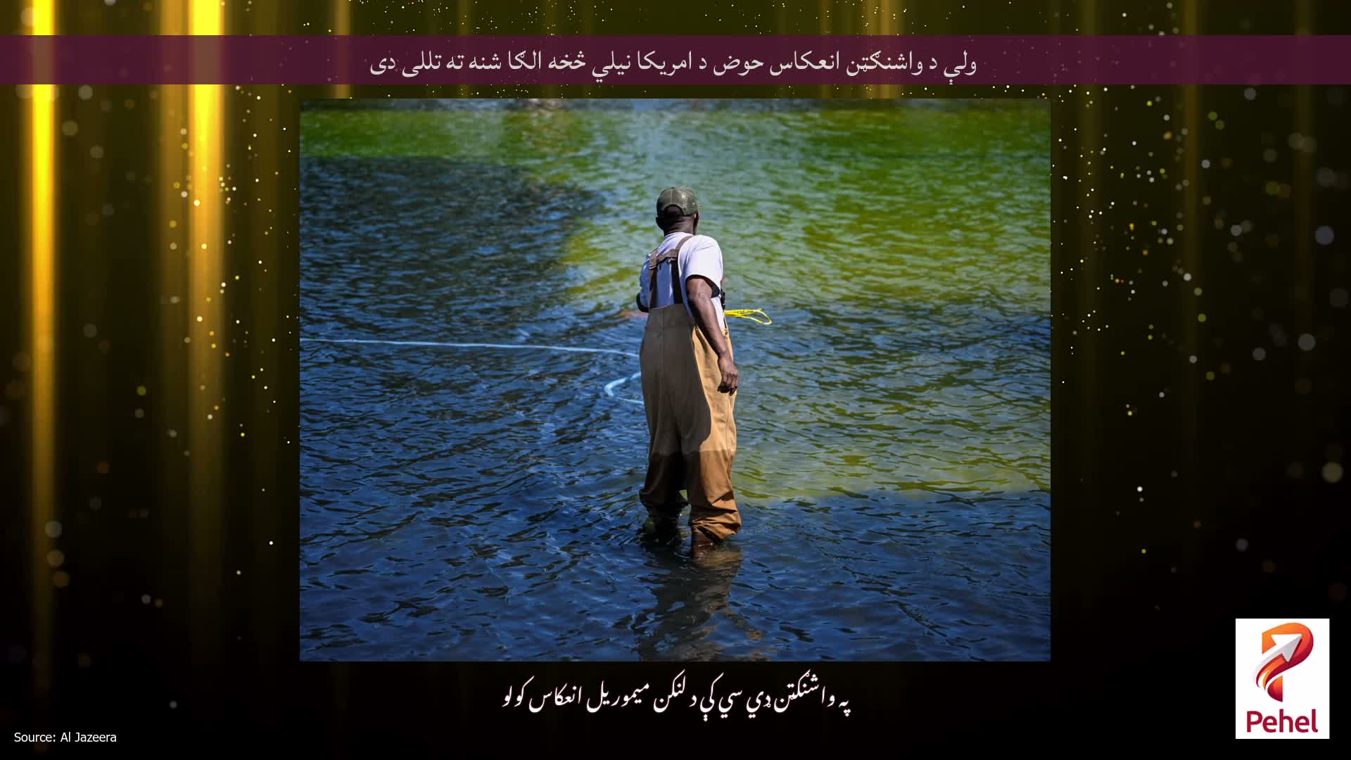 ولې د واشنګټن انعکاس حوض د امریکا نیلي څخه الګا شنه ته تللی دی