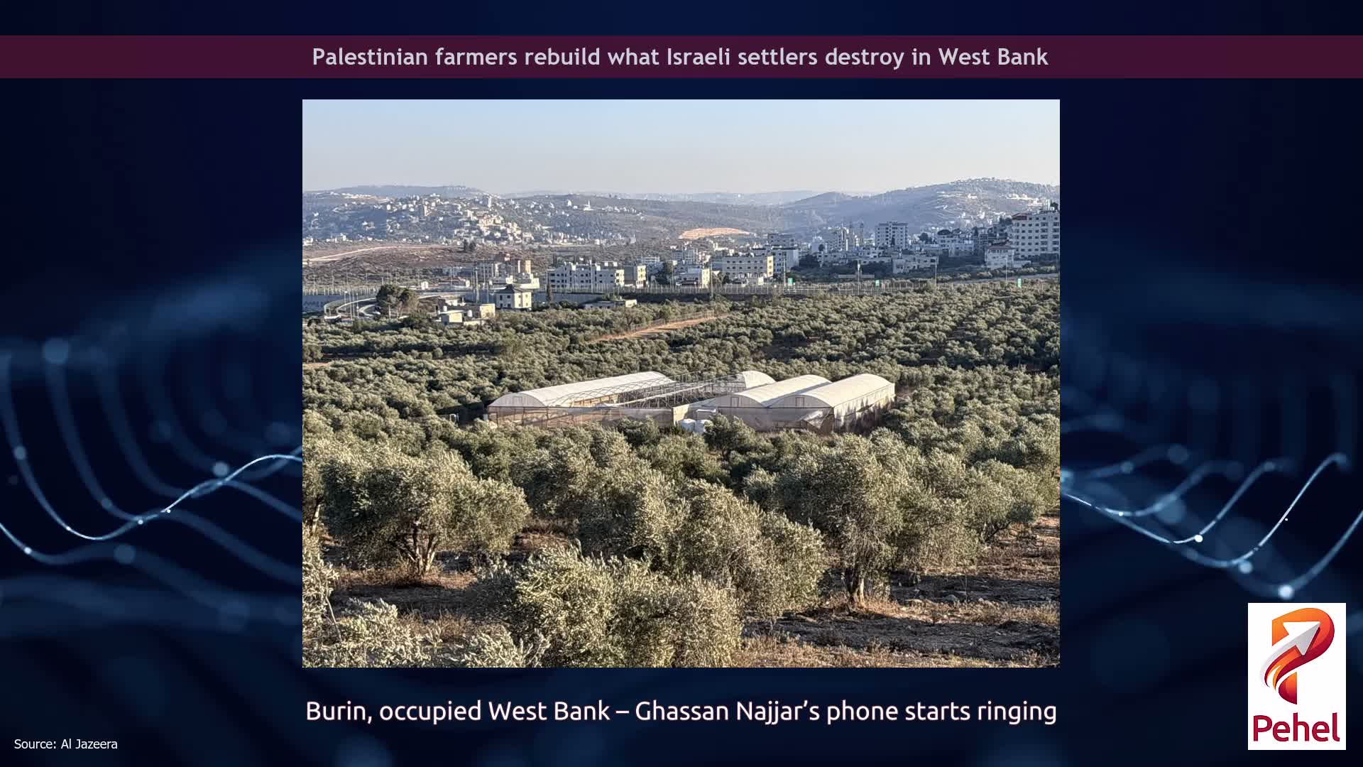 Palestinian farmers rebuild what Israeli settlers destroy in West Bank