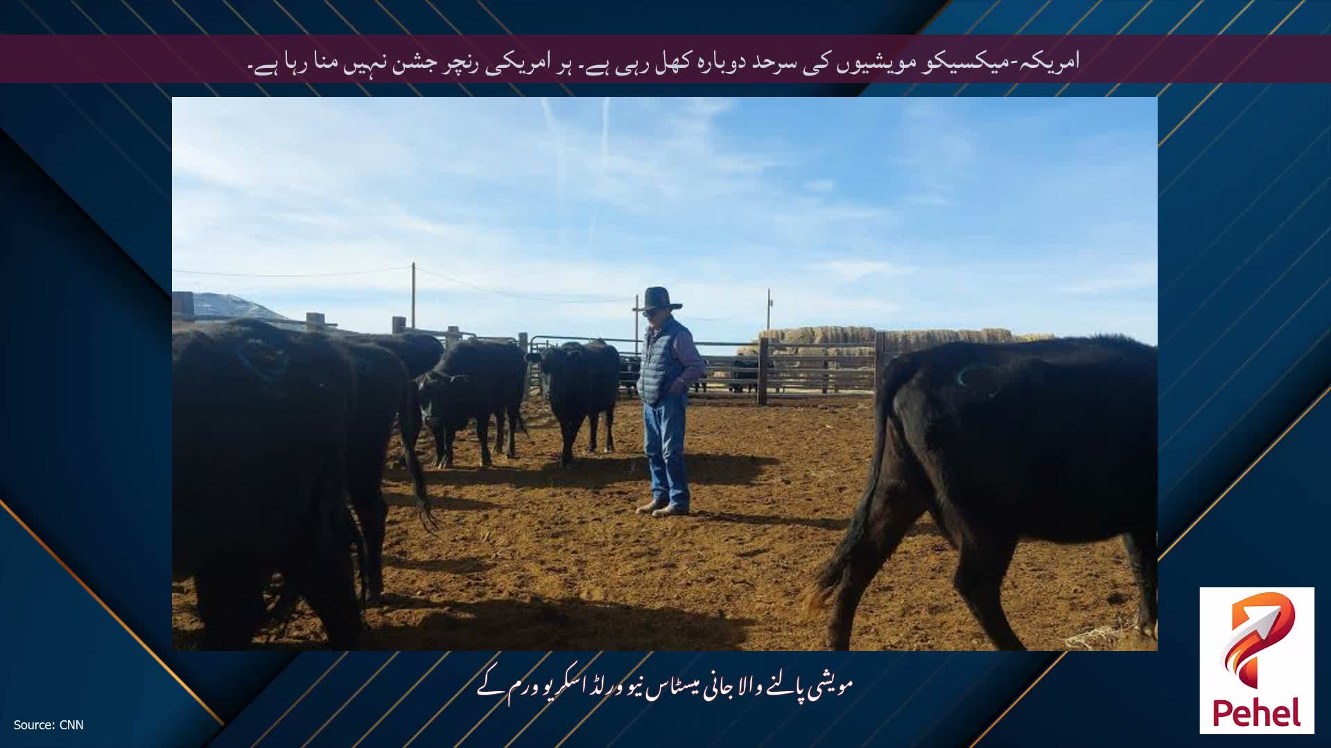 امریکہ-میکسیکو مویشیوں کی سرحد دوبارہ کھل رہی ہے۔ ہر امریکی رنچر جشن نہیں منا رہا ہے۔