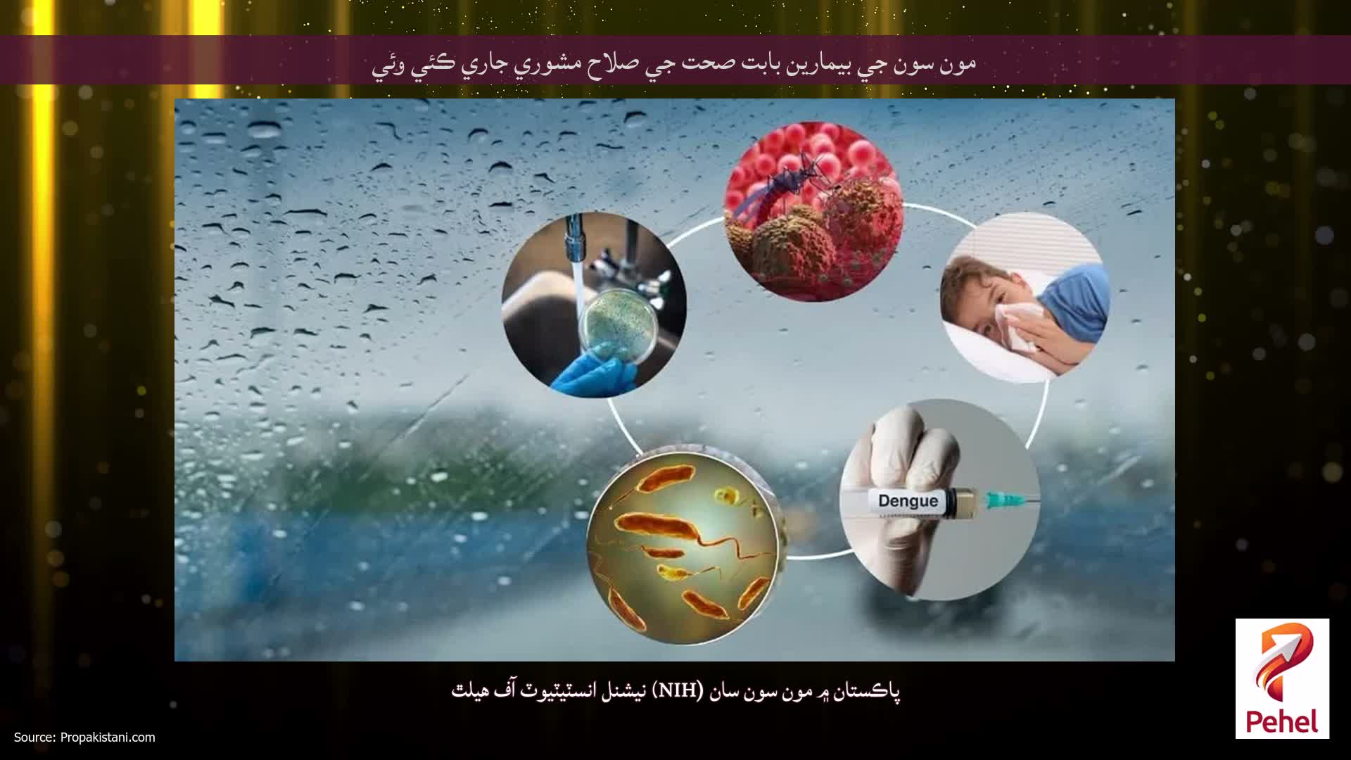 مون سون جي بيمارين بابت صحت جي صلاح مشوري جاري ڪئي وئي