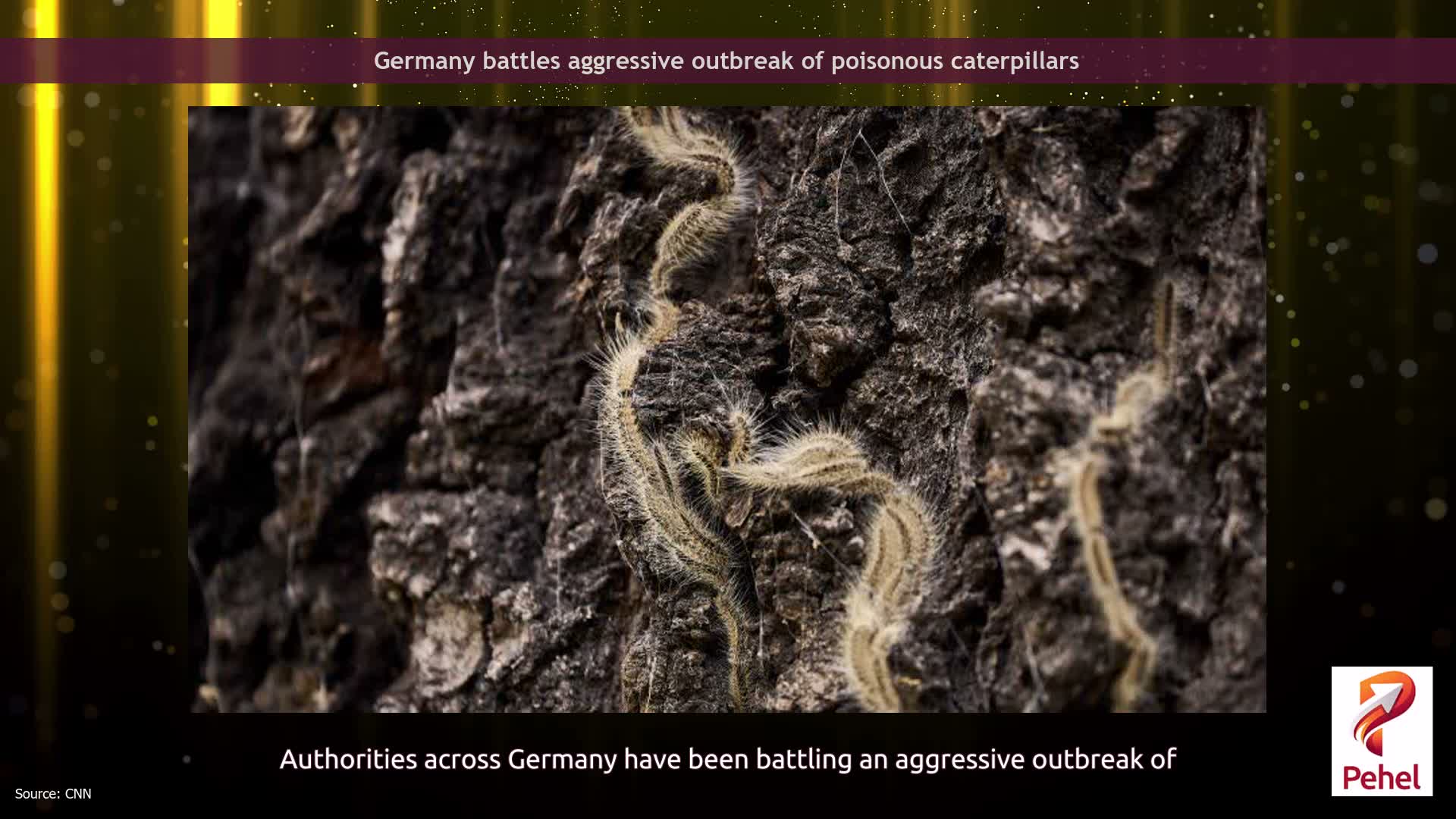 Germany battles aggressive outbreak of poisonous caterpillars