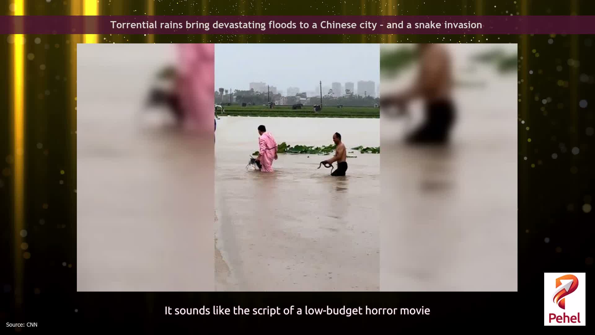 Torrential rains bring devastating floods to a Chinese city – and a snake invasion