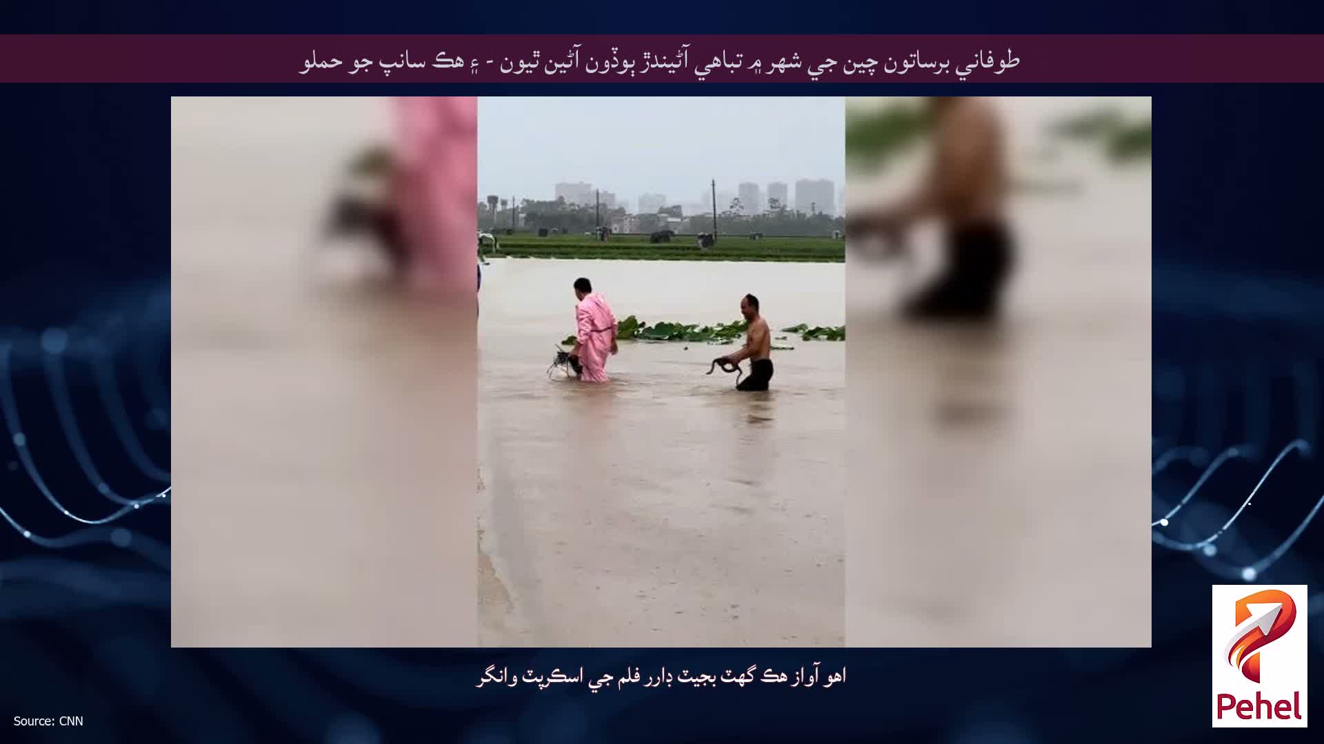 طوفاني برساتون چين جي شهر ۾ تباهي آڻيندڙ ٻوڏون آڻين ٿيون - ۽ هڪ سانپ جو حملو