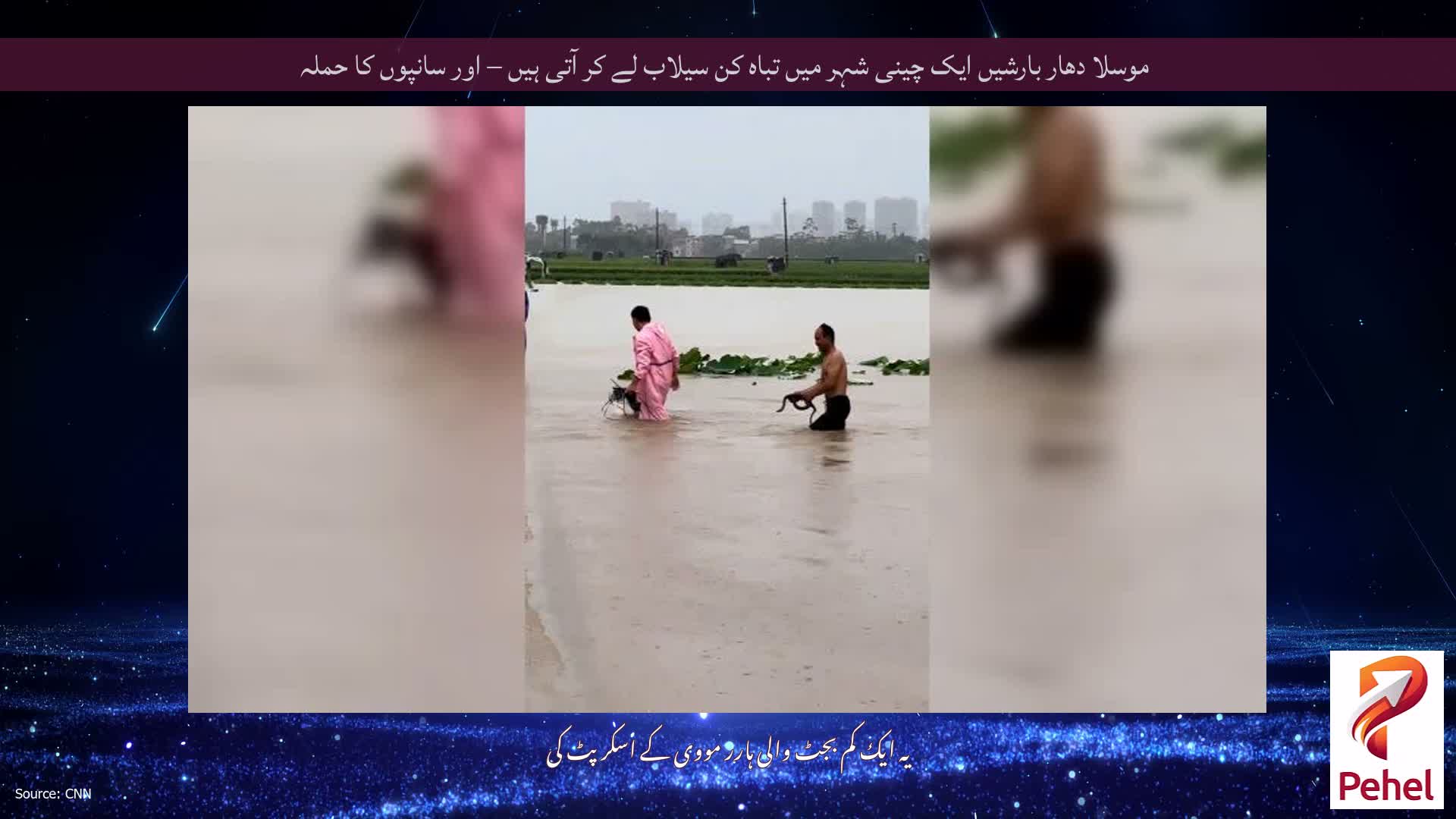 موسلا دھار بارشیں ایک چینی شہر میں تباہ کن سیلاب لے کر آتی ہیں – اور سانپوں کا حملہ