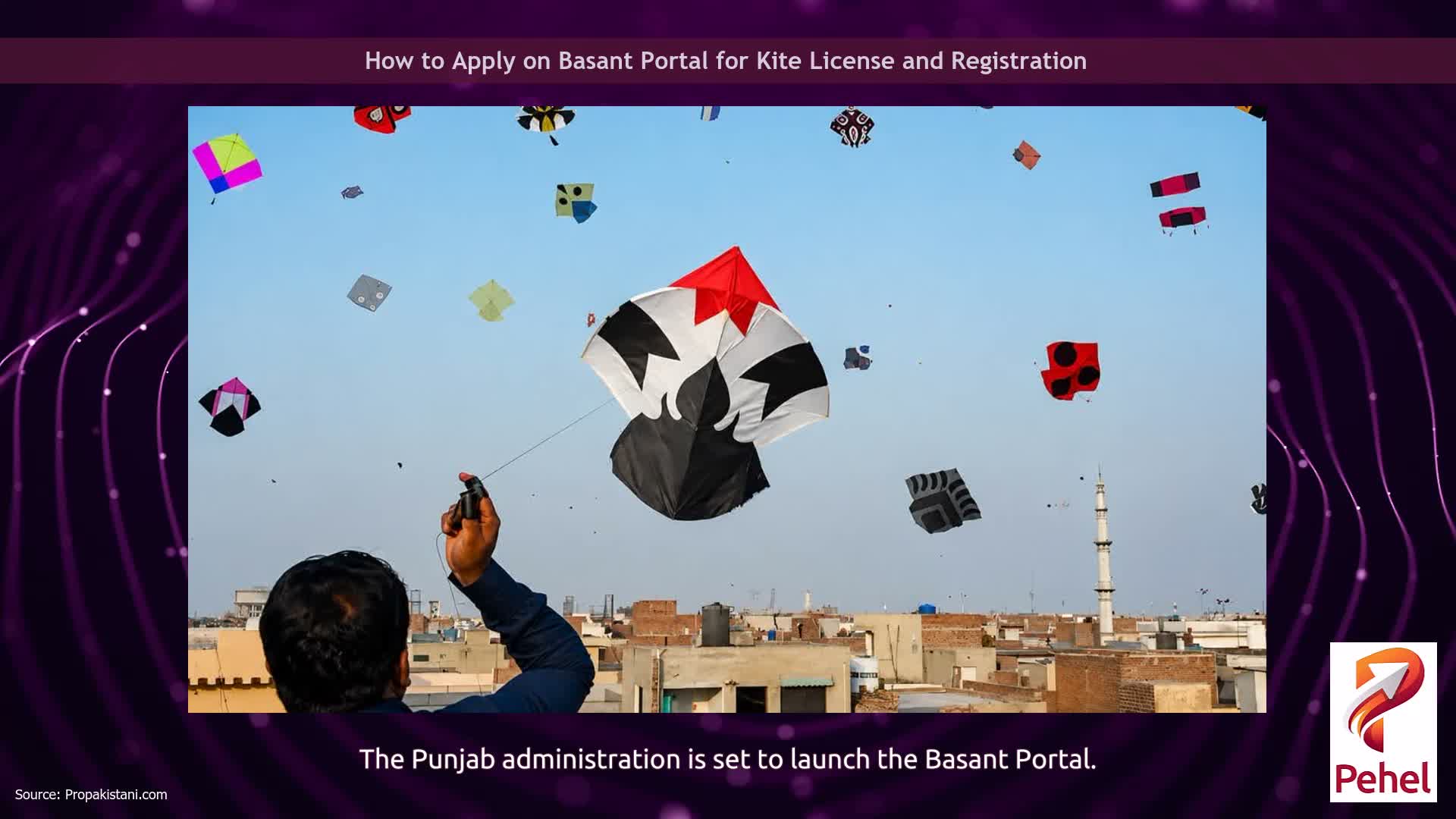 How to Apply on Basant Portal for Kite License and Registration