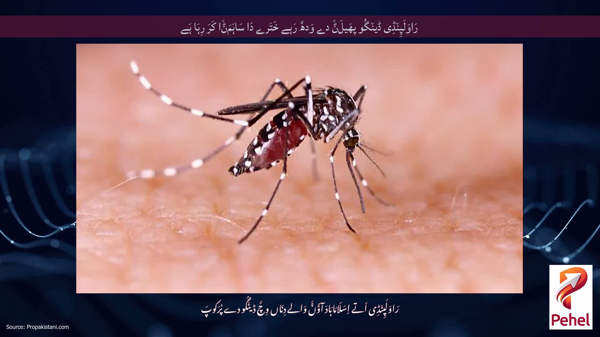 رَاوَلَپِن٘ڈِی ڈین٘گُو پھَیلَݨَ دے وَدھَّ رَہے خَتَرے دَا سَاہَمَݨَا کَرَ رِہَا ہَے