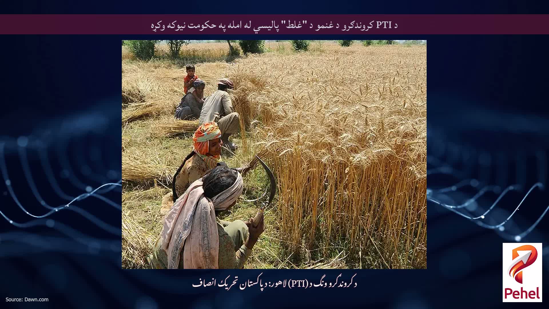 د PTI کروندګرو د غنمو د "غلط" پالیسي له امله په حکومت نیوکه وکړه