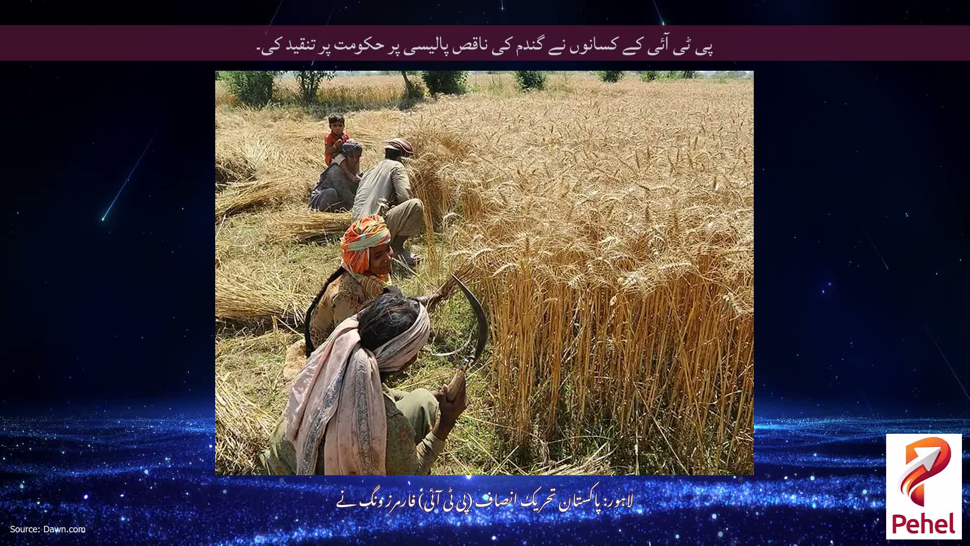 پی ٹی آئی کے کسانوں نے گندم کی ناقص پالیسی پر حکومت پر تنقید کی۔