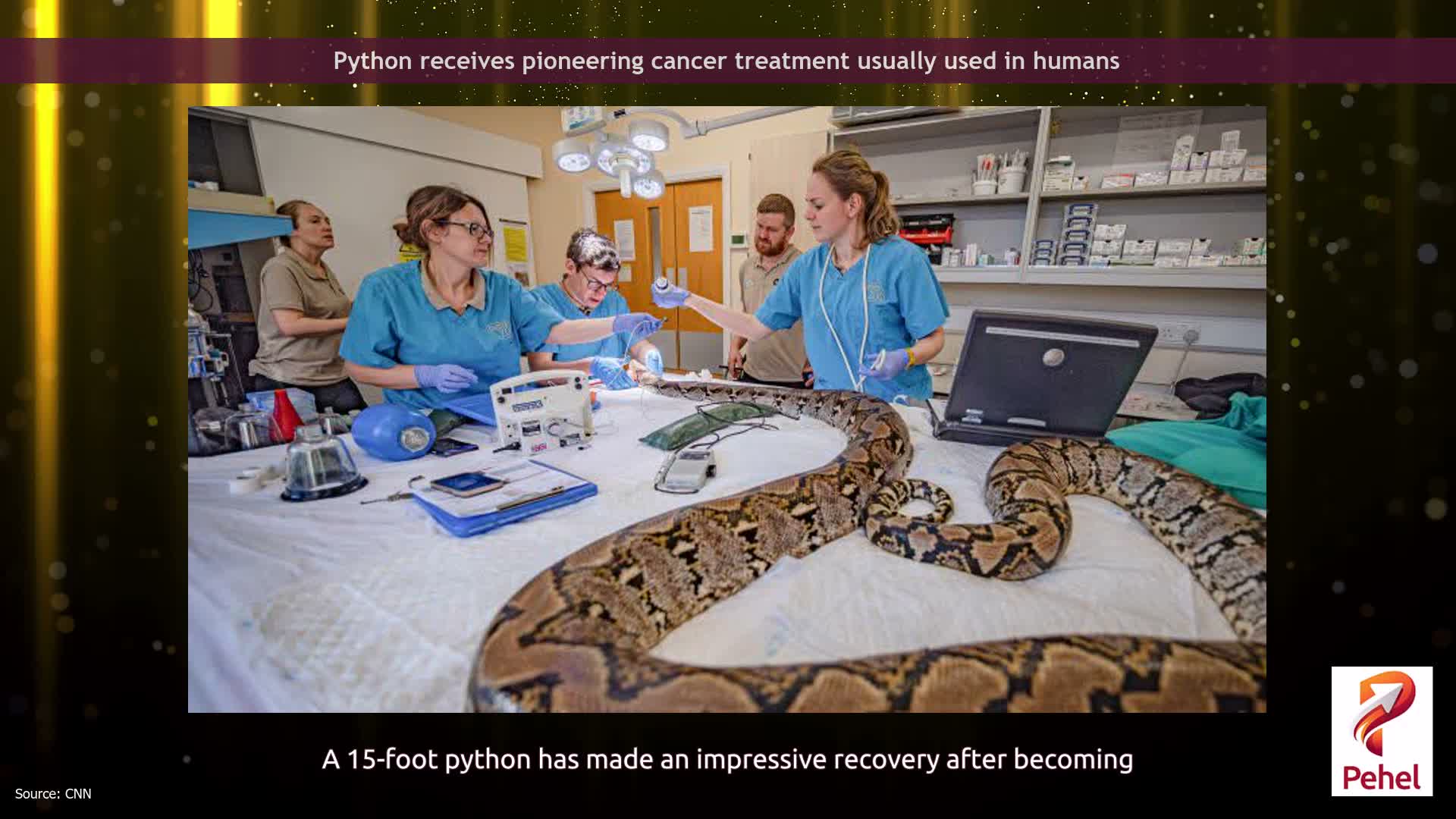 Python receives pioneering cancer treatment usually used in humans