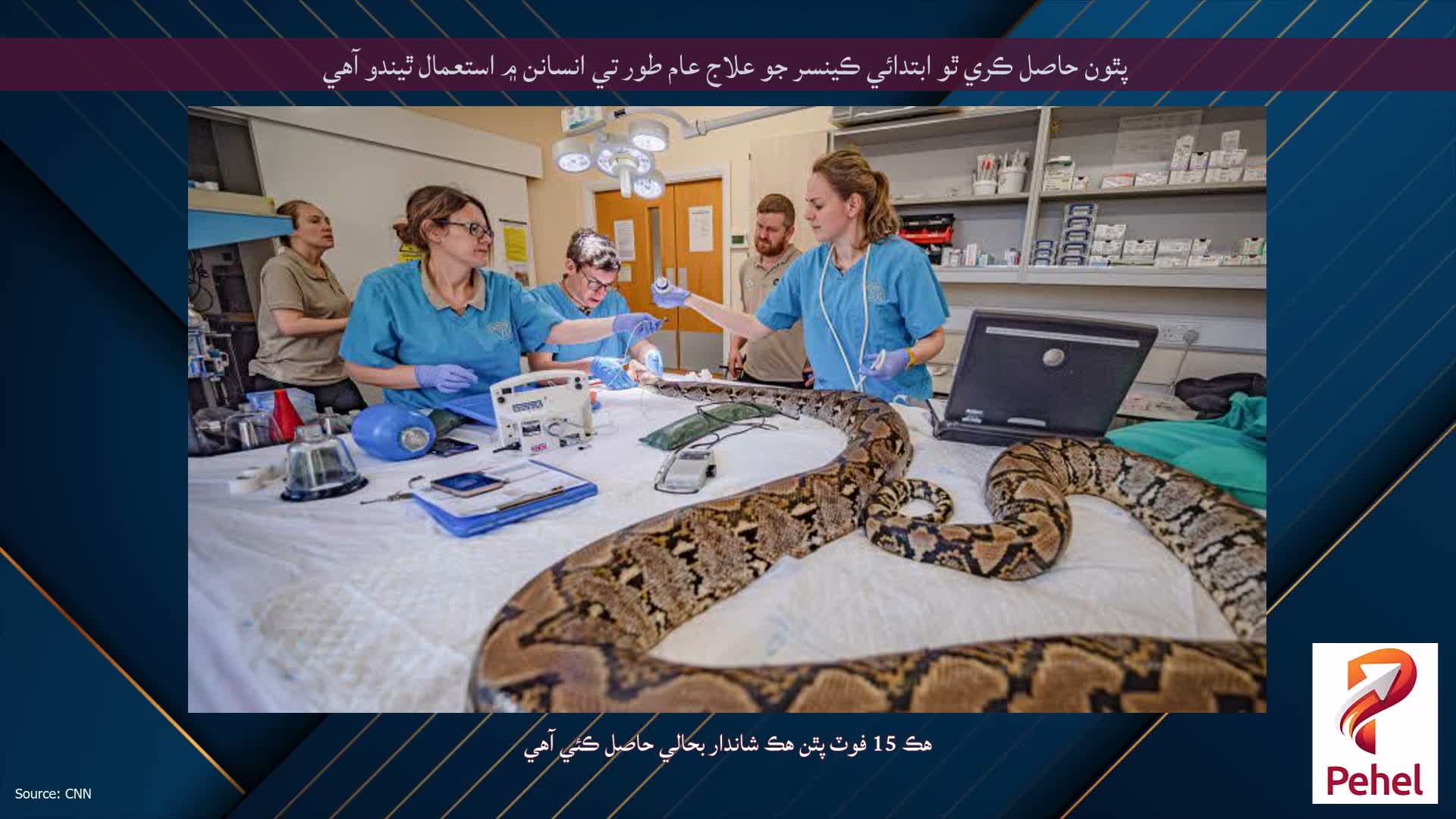 پٿون حاصل ڪري ٿو ابتدائي ڪينسر جو علاج عام طور تي انسانن ۾ استعمال ٿيندو آهي