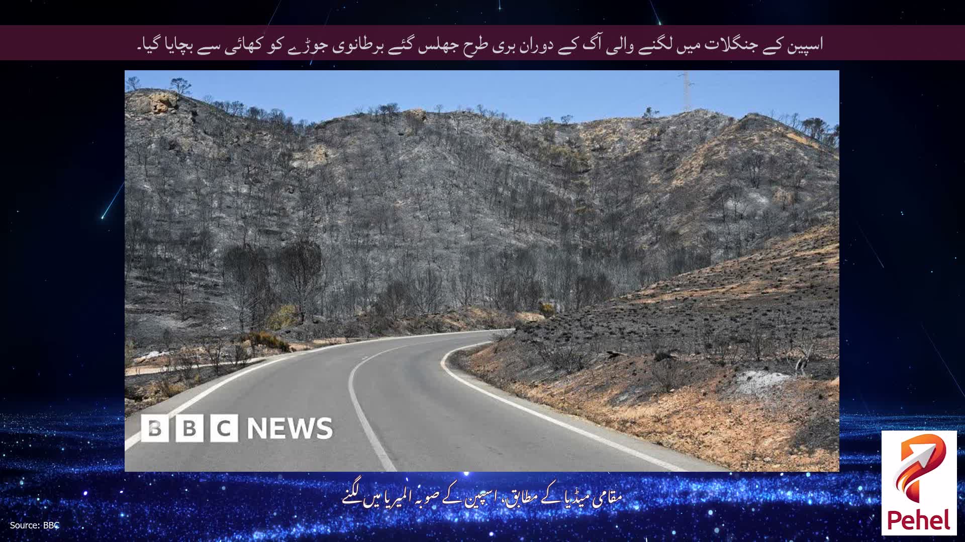 اسپین کے جنگلات میں لگنے والی آگ کے دوران بری طرح جھلس گئے برطانوی جوڑے کو کھائی سے بچایا گیا۔