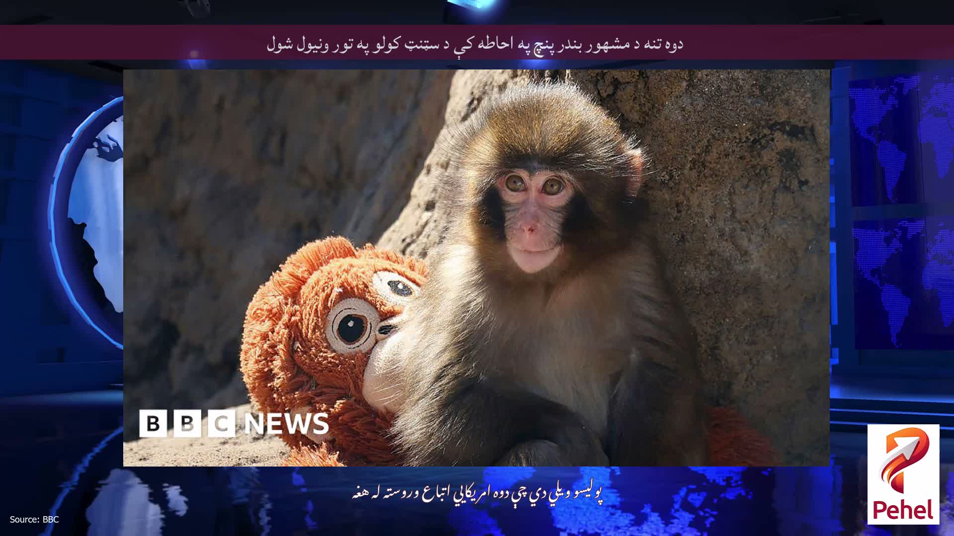 دوه تنه د مشهور بندر پنچ په احاطه کې د سټنټ کولو په تور ونیول شول