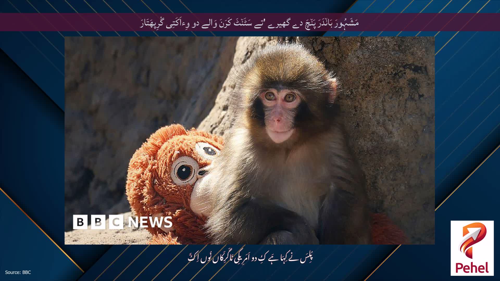 مَشَہُورَ بَان٘دَرَ پَن٘چَ دے گھیرے 'تے سَٹَن٘ٹَ کَرَنَ وَالے دو وِءاَکَتِی گْرِپھَتَارَ