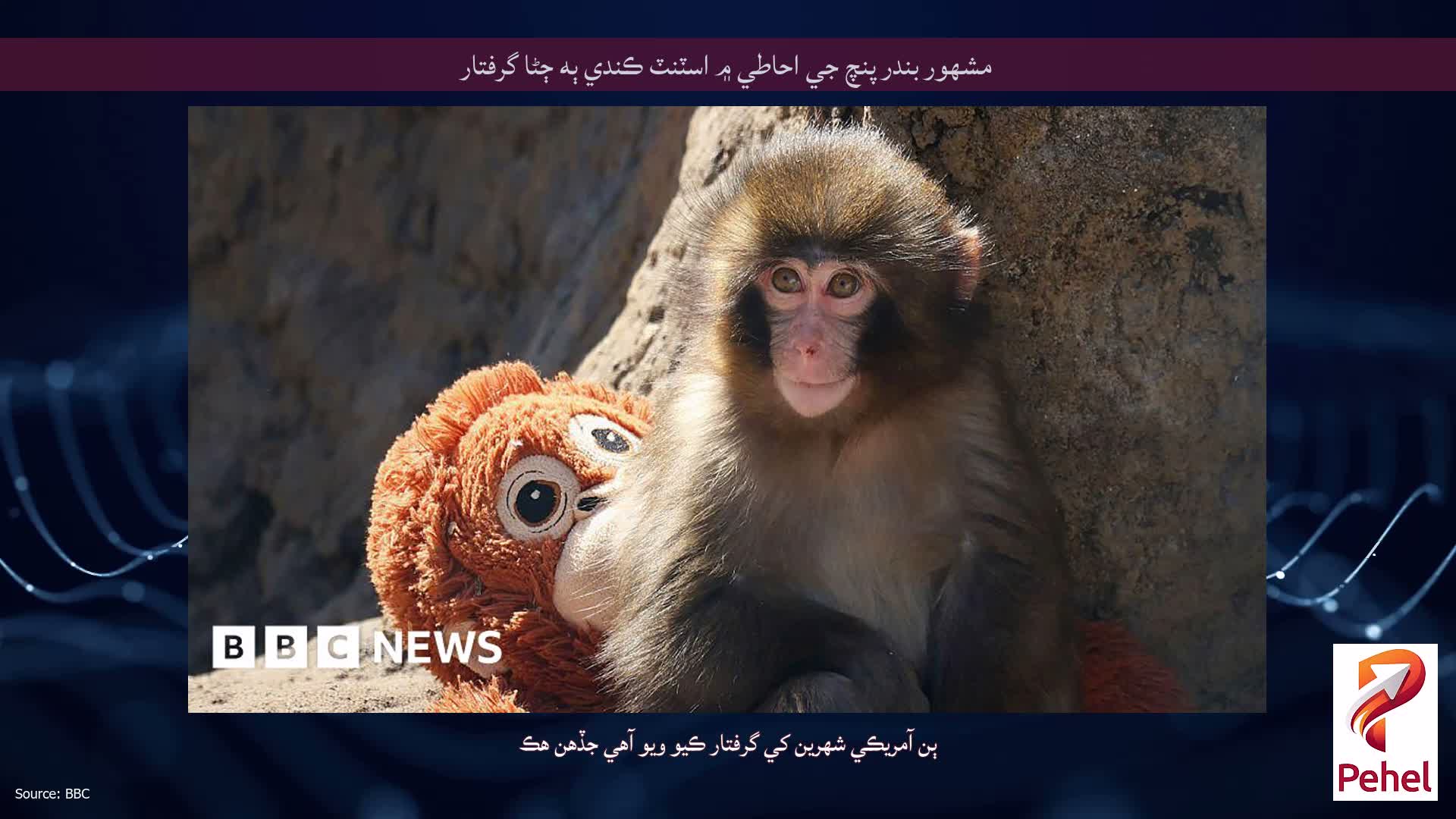مشهور بندر پنچ جي احاطي ۾ اسٽنٽ ڪندي ٻه ڄڻا گرفتار