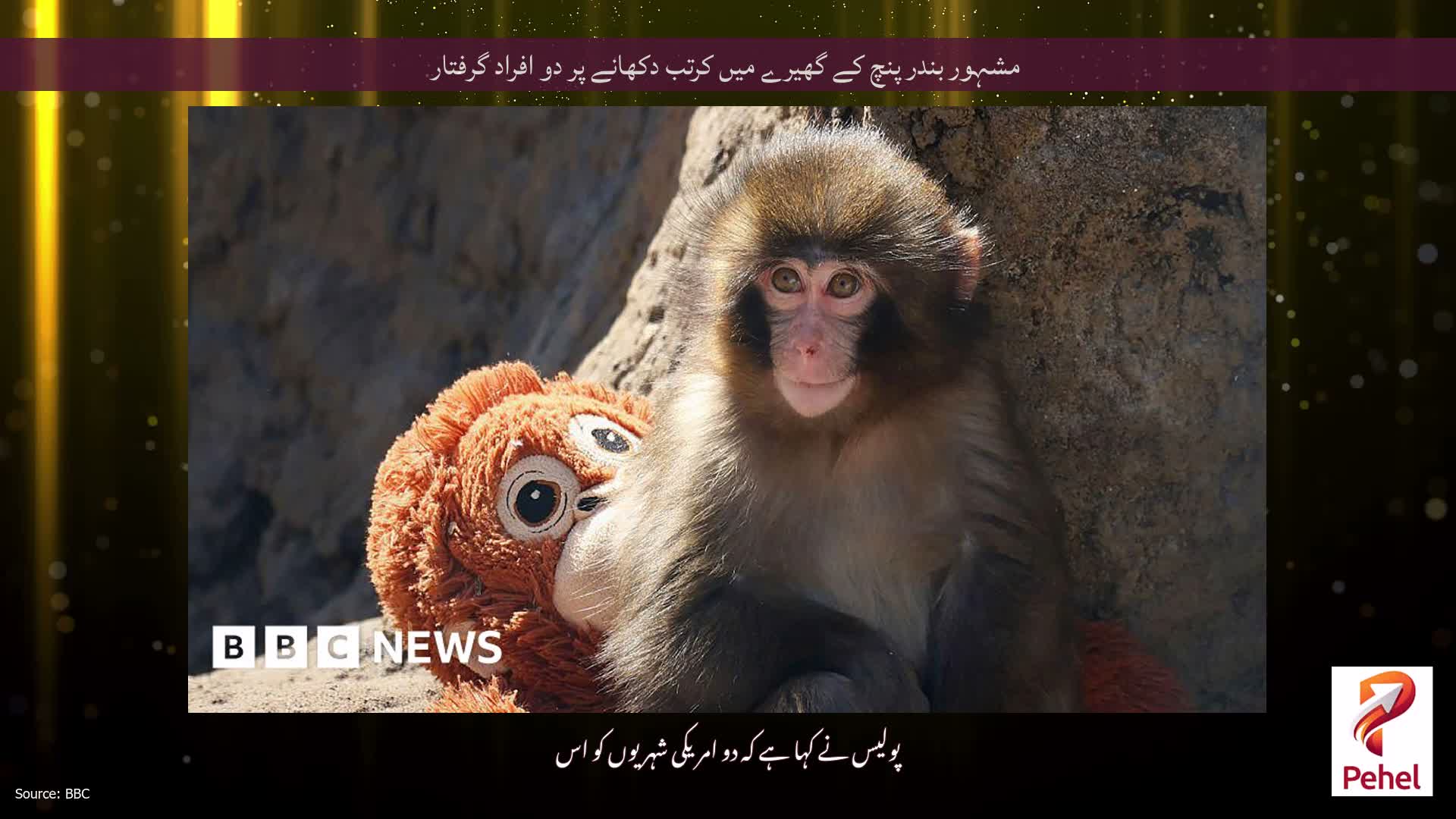 مشہور بندر پنچ کے گھیرے میں کرتب دکھانے پر دو افراد گرفتار