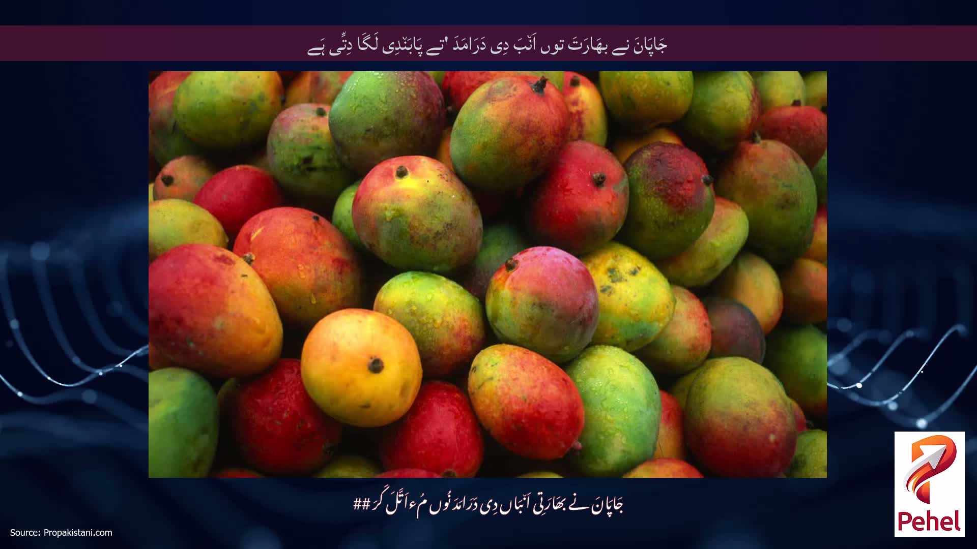 جَاپَانَ نے بھَارَتَ توں اَن٘بَ دِی دَرَامَدَ 'تے پَابَن٘دِی لَگَا دِتِّی ہَے