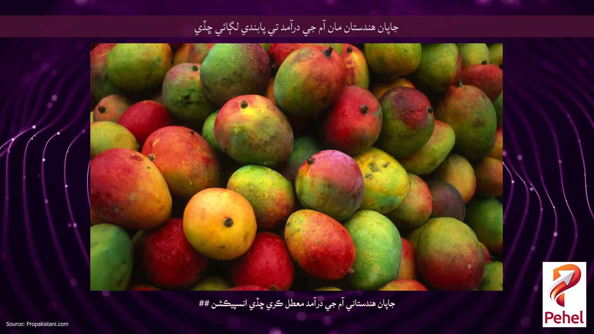 جاپان هندستان مان آم جي درآمد تي پابندي لڳائي ڇڏي