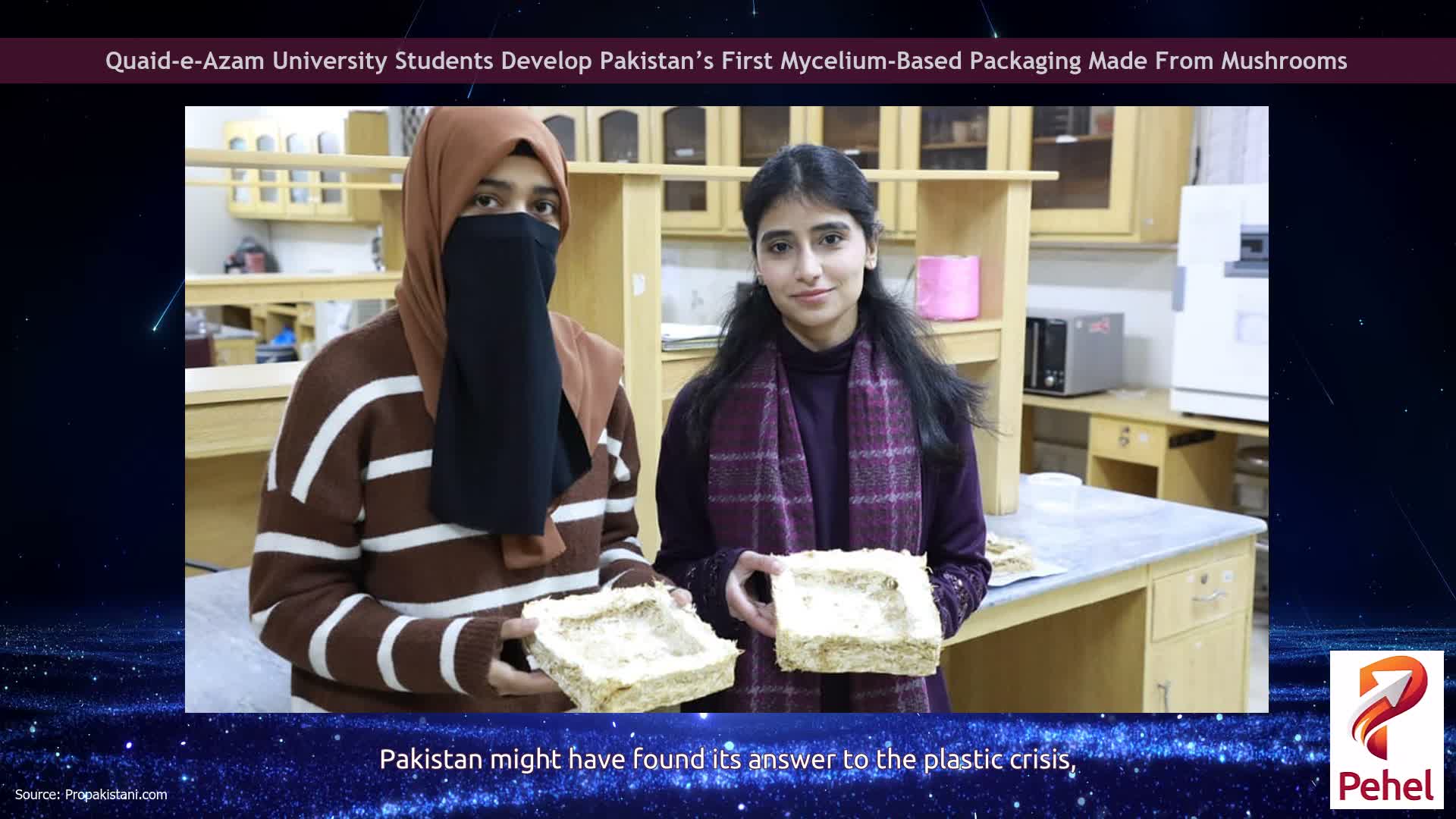 Quaid-e-Azam University Students Develop Pakistan’s First Mycelium-Based Packaging Made From Mushrooms