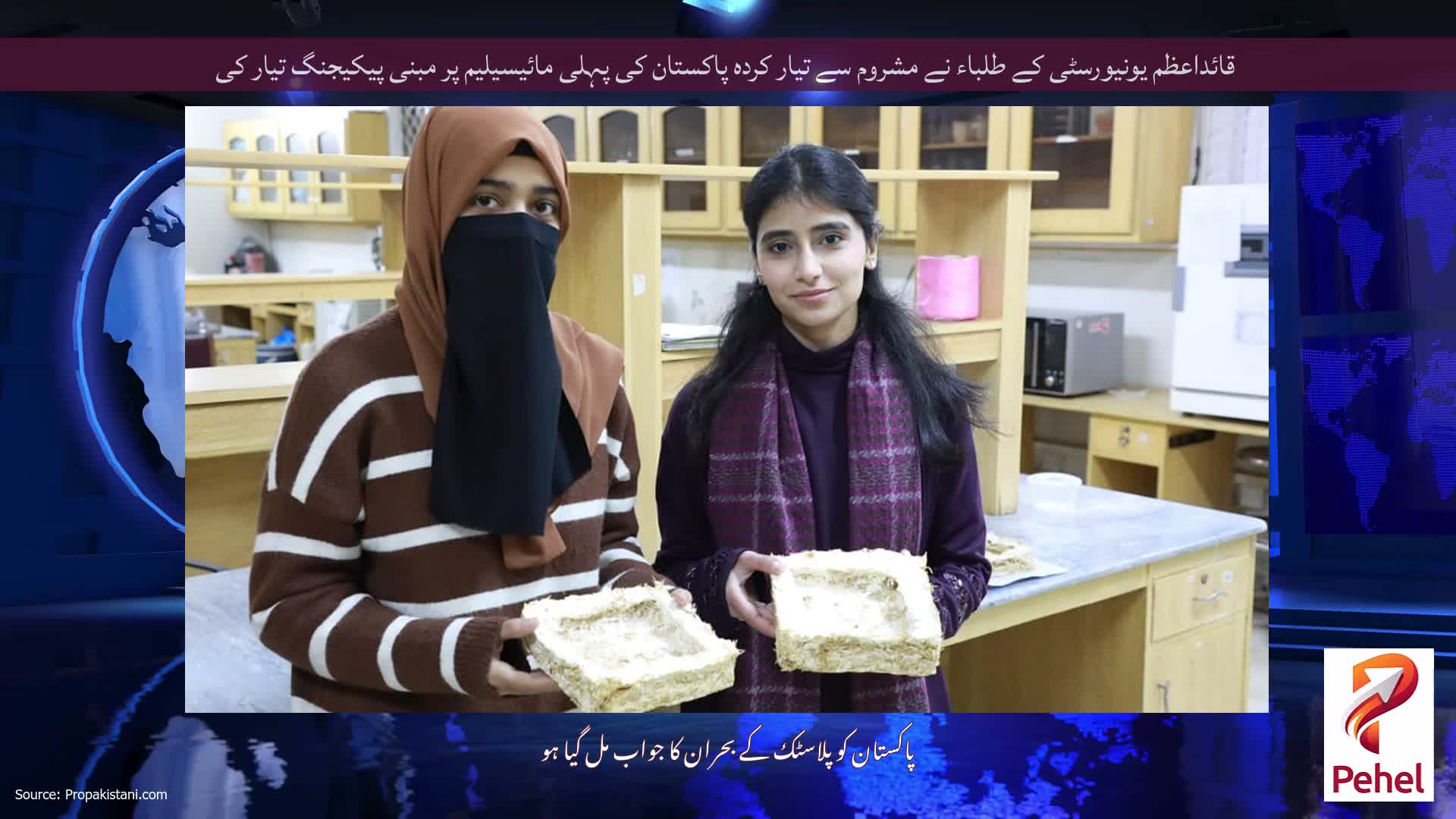 قائداعظم یونیورسٹی کے طلباء نے مشروم سے تیار کردہ پاکستان کی پہلی مائیسیلیم پر مبنی پیکیجنگ تیار کی