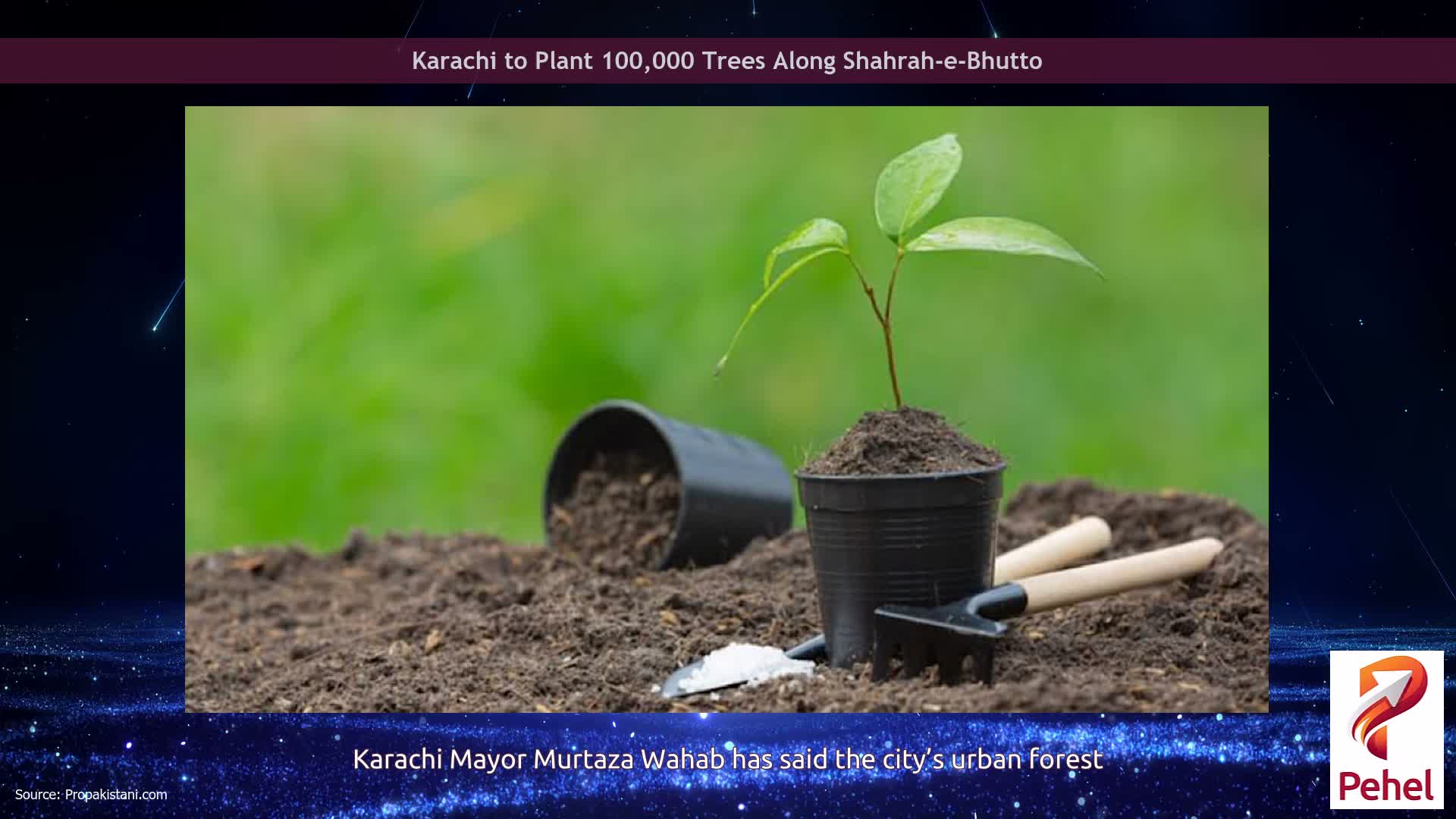 Karachi to Plant 100,000 Trees Along Shahrah-e-Bhutto