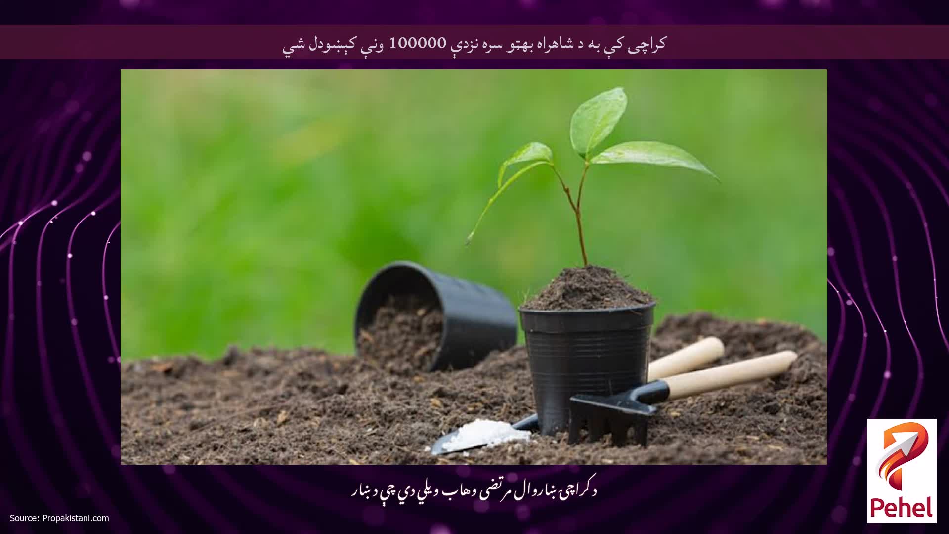 کراچۍ کې به د شاهراه بهټو سره نزدې 100000 ونې کېښودل شي