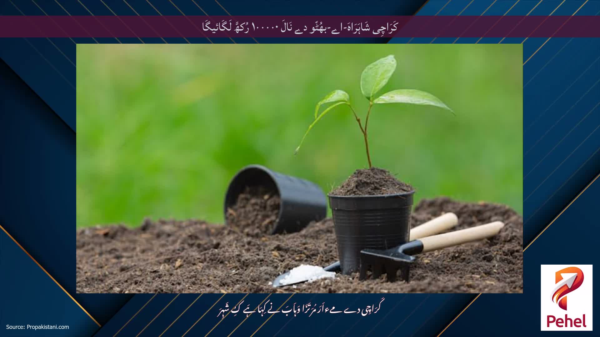 کَرَاچِی شَاہَرَاہَ-اے-بھُٹّو دے نَالَ ۱۰۰۰۰۰ رُکھَّ لَگَائیگَا
