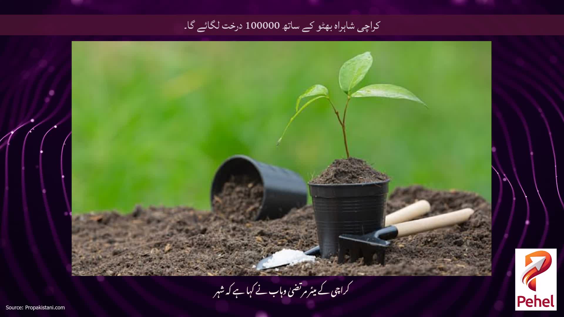 کراچی شاہراہ بھٹو کے ساتھ 100000 درخت لگائے گا۔