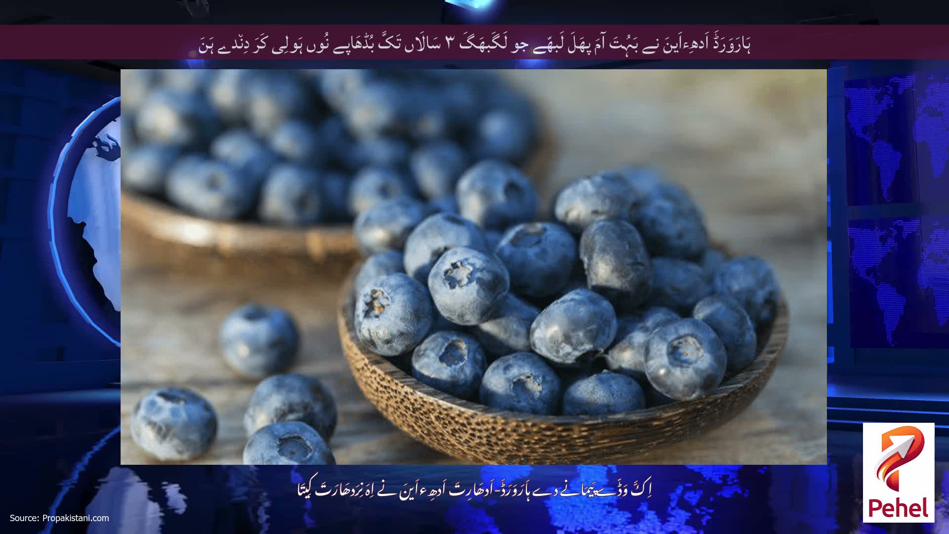 ہَارَوَرَڈَ اَدھِءاَینَ نے بَہُتَ آمَ پھَلَ لَبھّے جو لَگَبھَگَ ۳ سَالَاں تَکَّ بُڈھَاپے نُوں ہَولِی کَرَ دِن٘دے ہَنَ