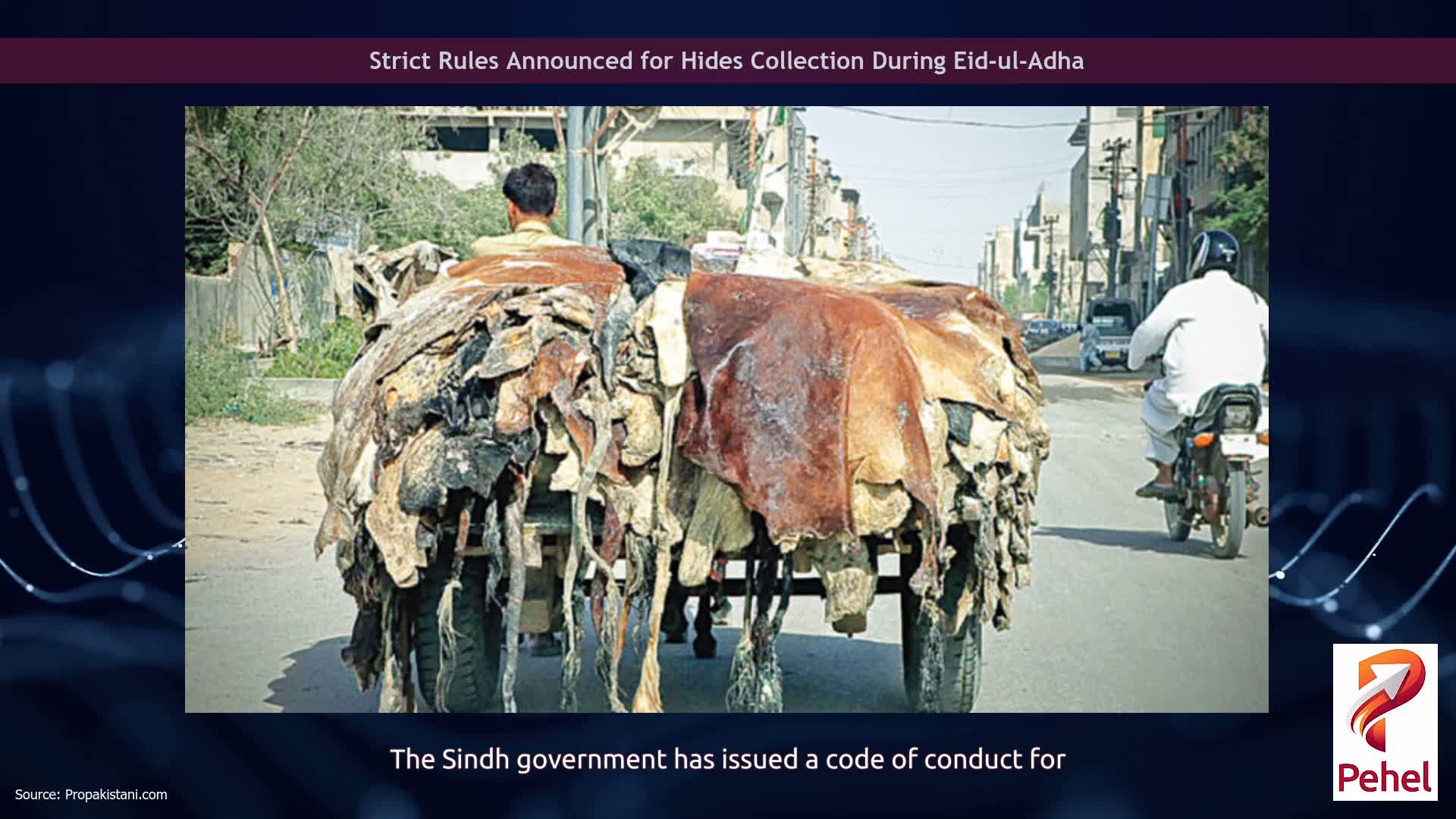 Strict Rules Announced for Hides Collection During Eid-ul-Adha