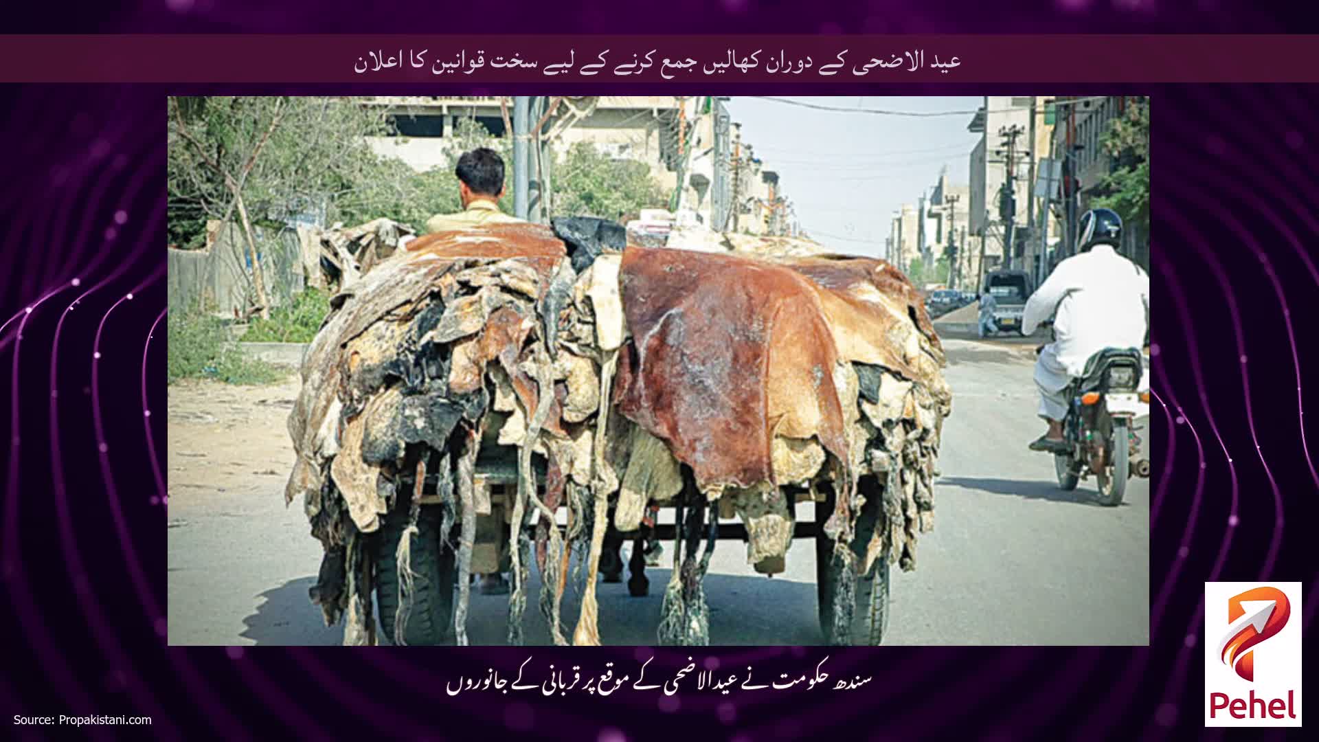 عید الاضحی کے دوران کھالیں جمع کرنے کے لیے سخت قوانین کا اعلان