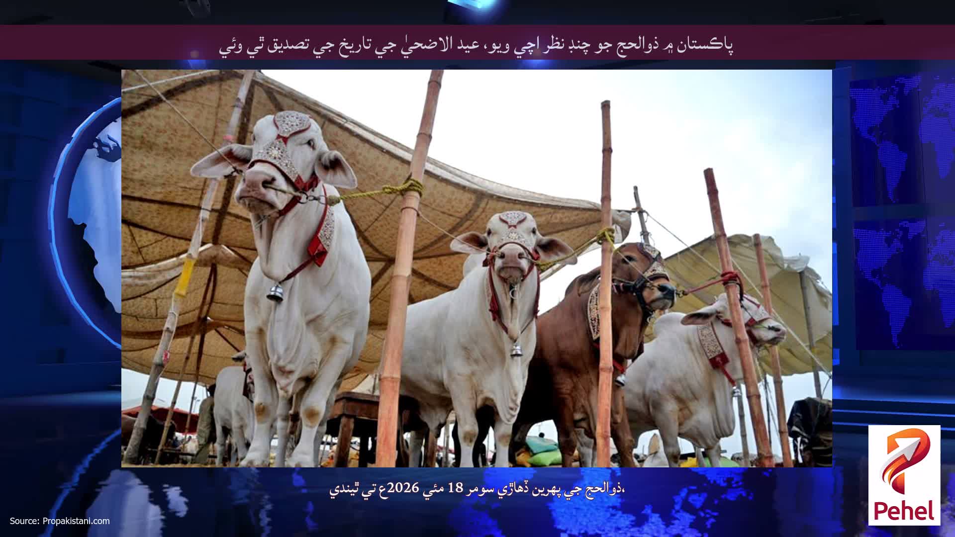 پاڪستان ۾ ذوالحج جو چنڊ نظر اچي ويو، عيد الاضحيٰ جي تاريخ جي تصديق ٿي وئي