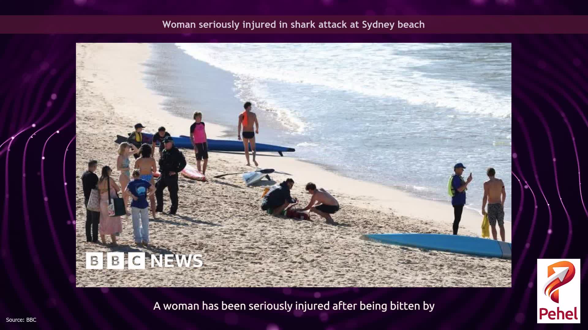 Woman seriously injured in shark attack at Sydney beach