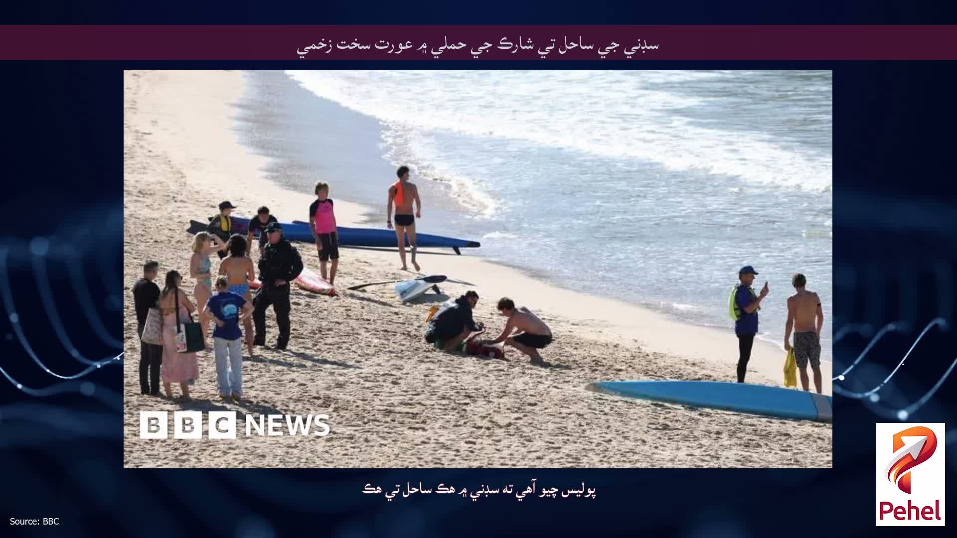 سڊني جي ساحل تي شارڪ جي حملي ۾ عورت سخت زخمي
