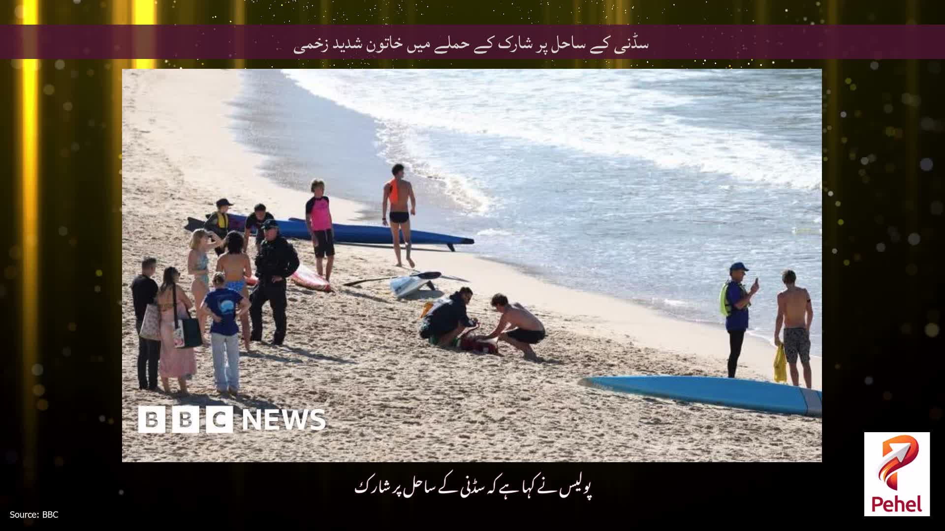سڈنی کے ساحل پر شارک کے حملے میں خاتون شدید زخمی