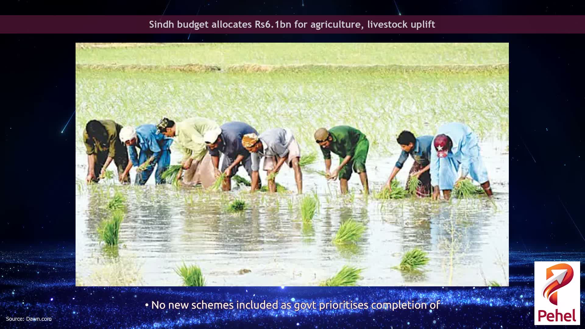 Sindh budget allocates Rs6.1bn for agriculture, livestock uplift