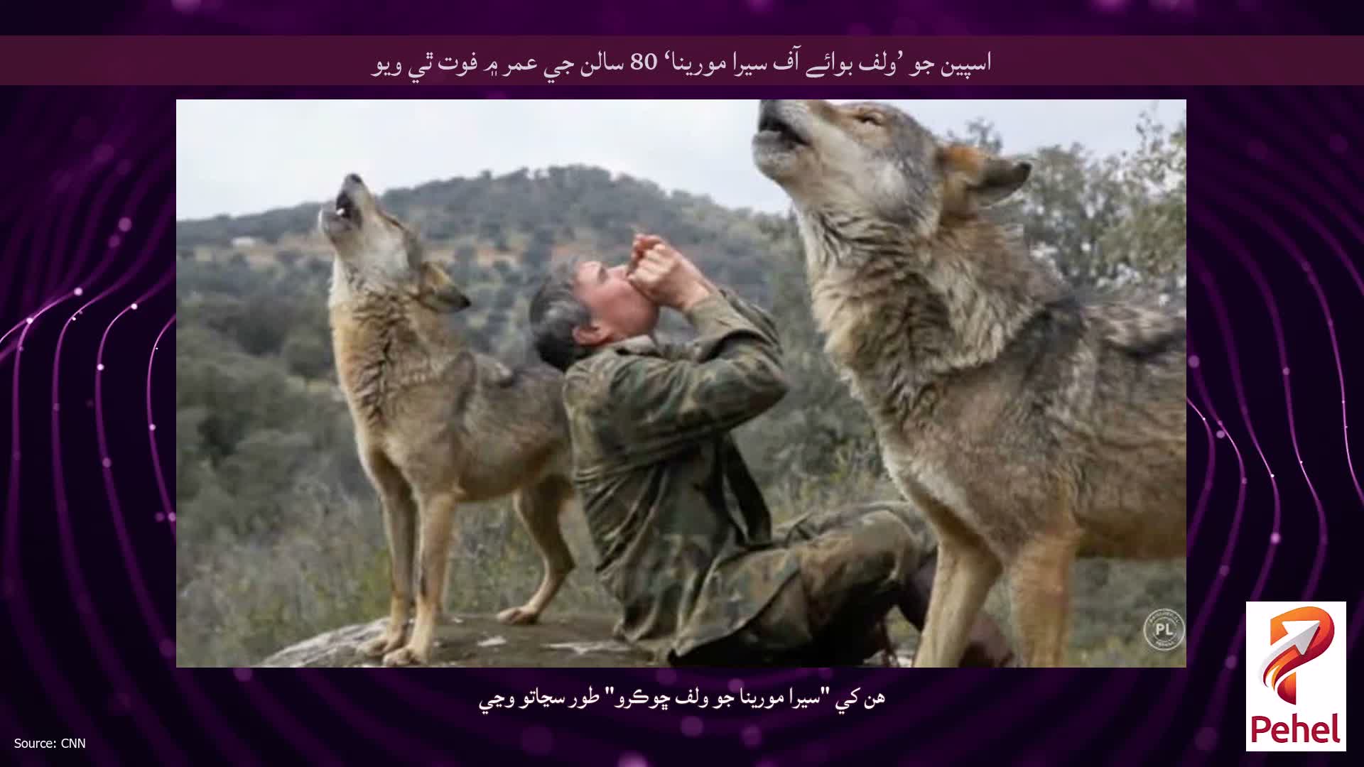 اسپين جو ’ولف بوائے آف سيرا مورينا‘ 80 سالن جي عمر ۾ فوت ٿي ويو