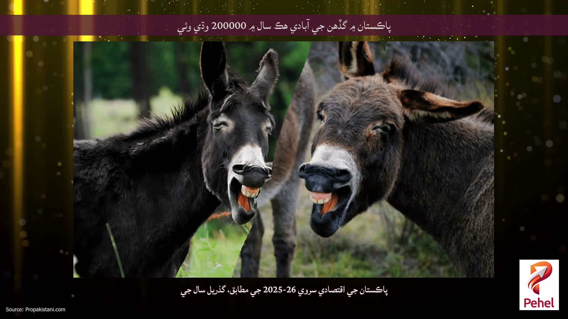 پاڪستان ۾ گڏهن جي آبادي هڪ سال ۾ 200000 وڌي وئي