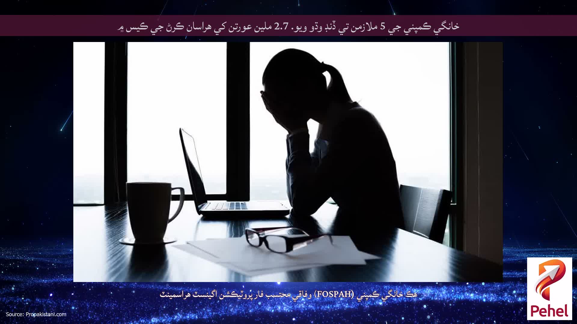 خانگي ڪمپني جي 5 ملازمن تي ڏنڊ وڌو ويو. 2.7 ملين عورتن کي هراسان ڪرڻ جي ڪيس ۾